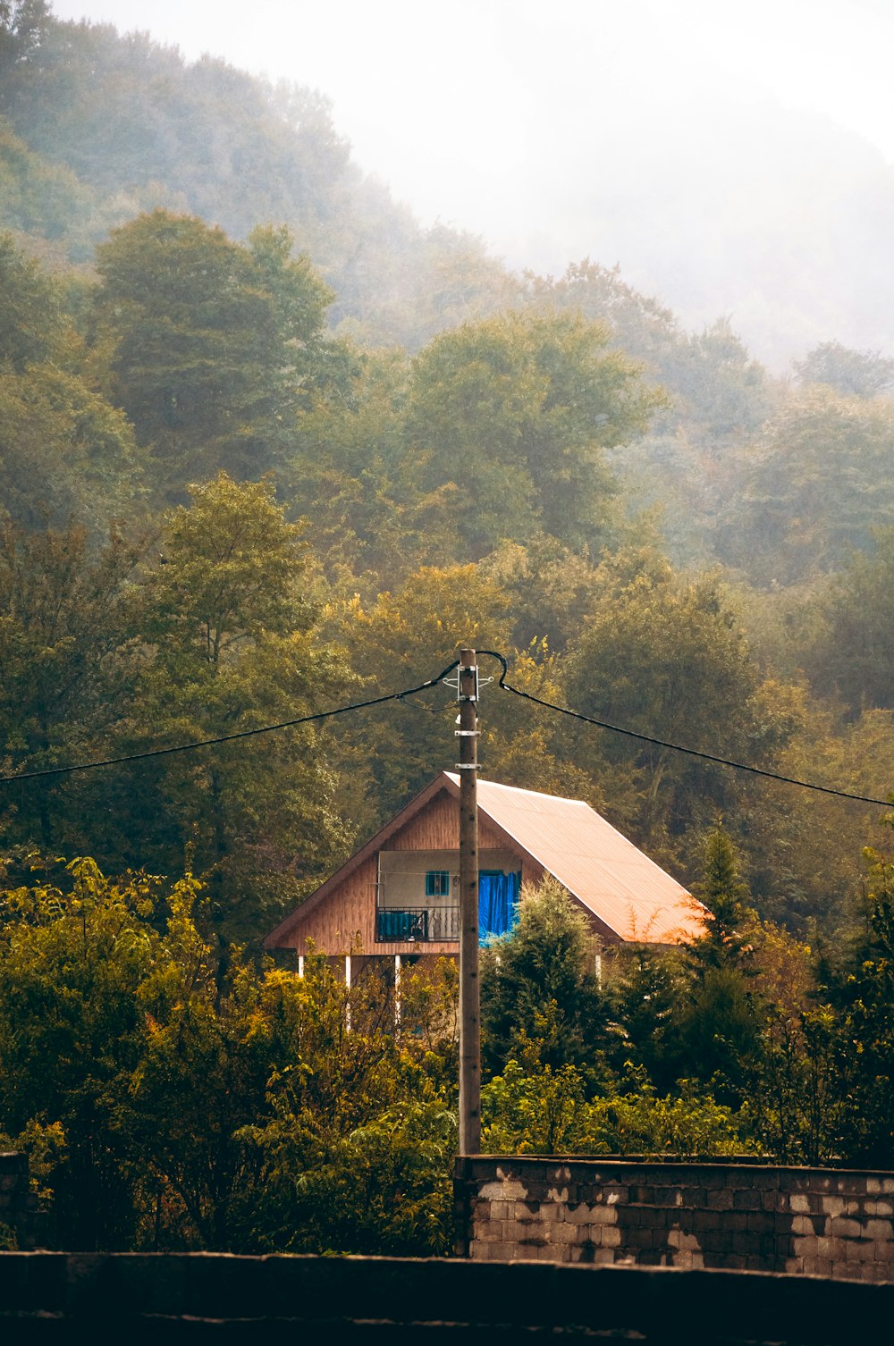 a house in the middle of a forest