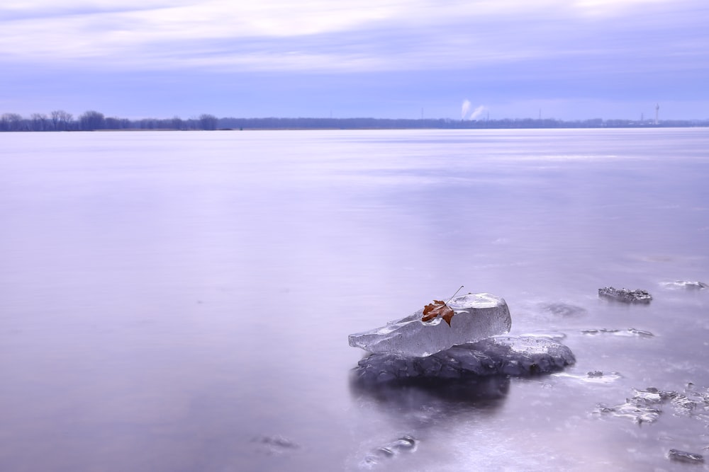 a rock sitting on top of a frozen lake