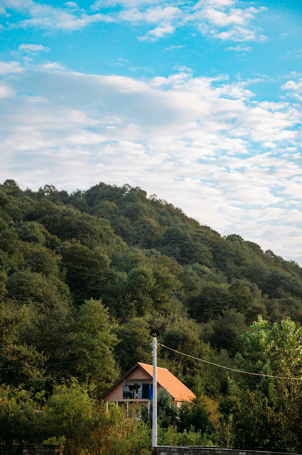 a house sitting on top of a lush green hillside