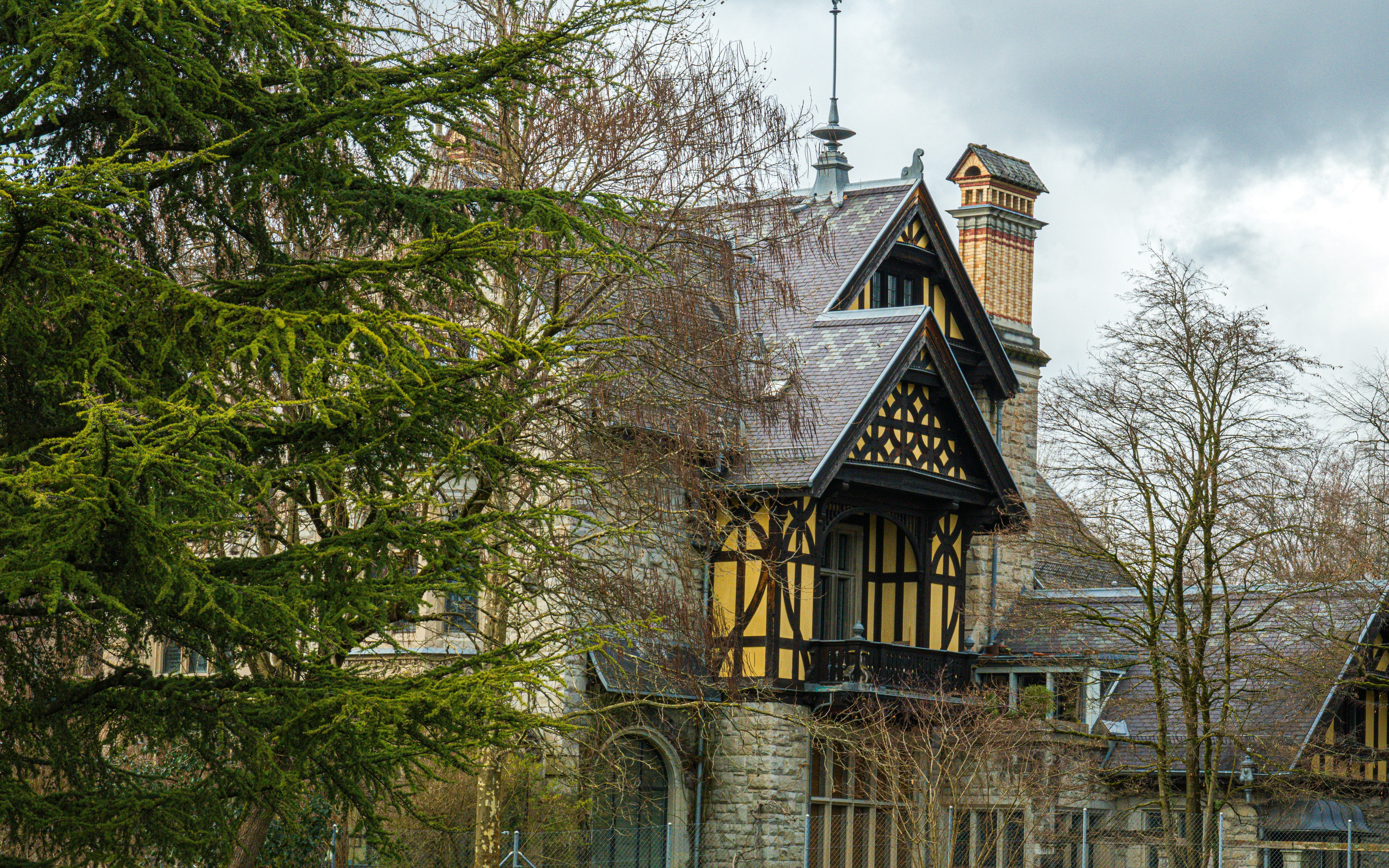 Photo by quang_quang