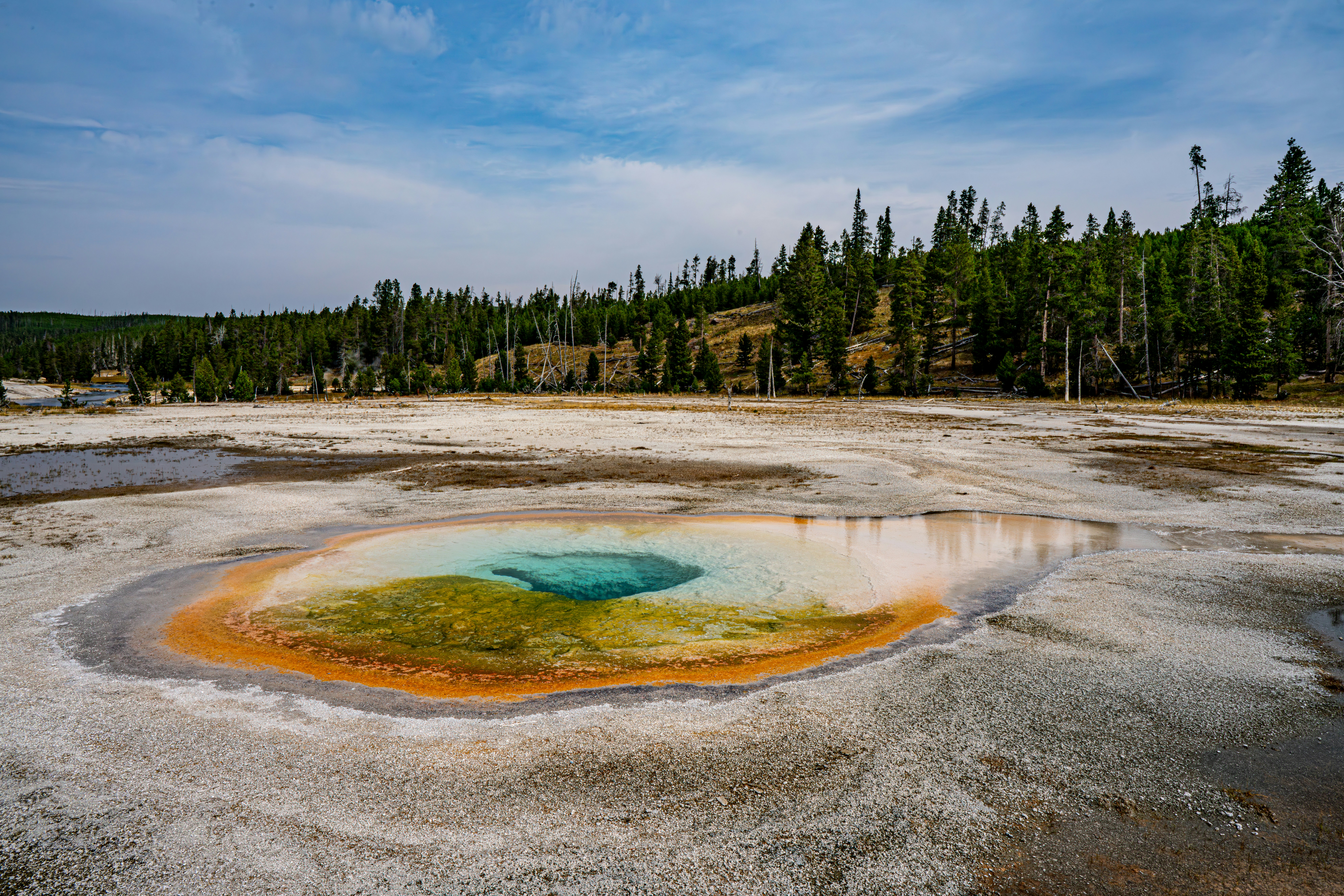 a large pool of water surrounded by trees, Belgian Pool in Yellowstone National Park, Wyoming USA