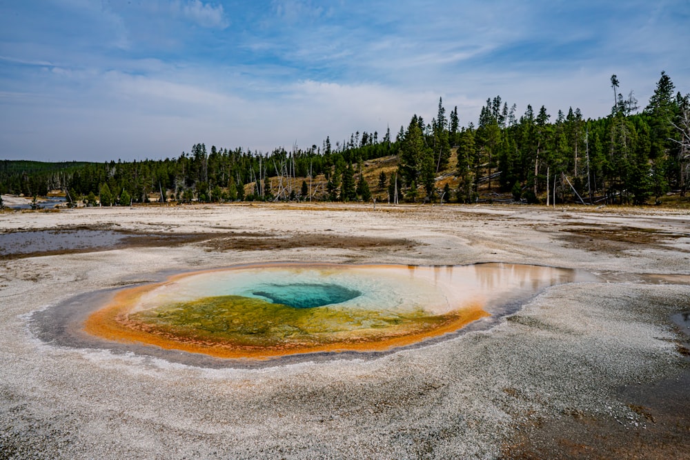 a large pool of water surrounded by trees