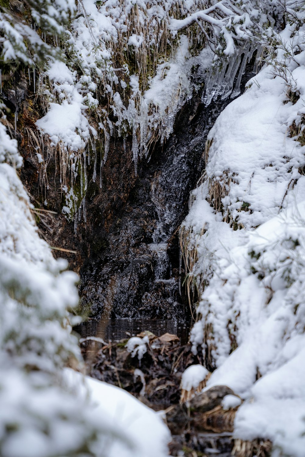 a stream of water running through a snow covered forest