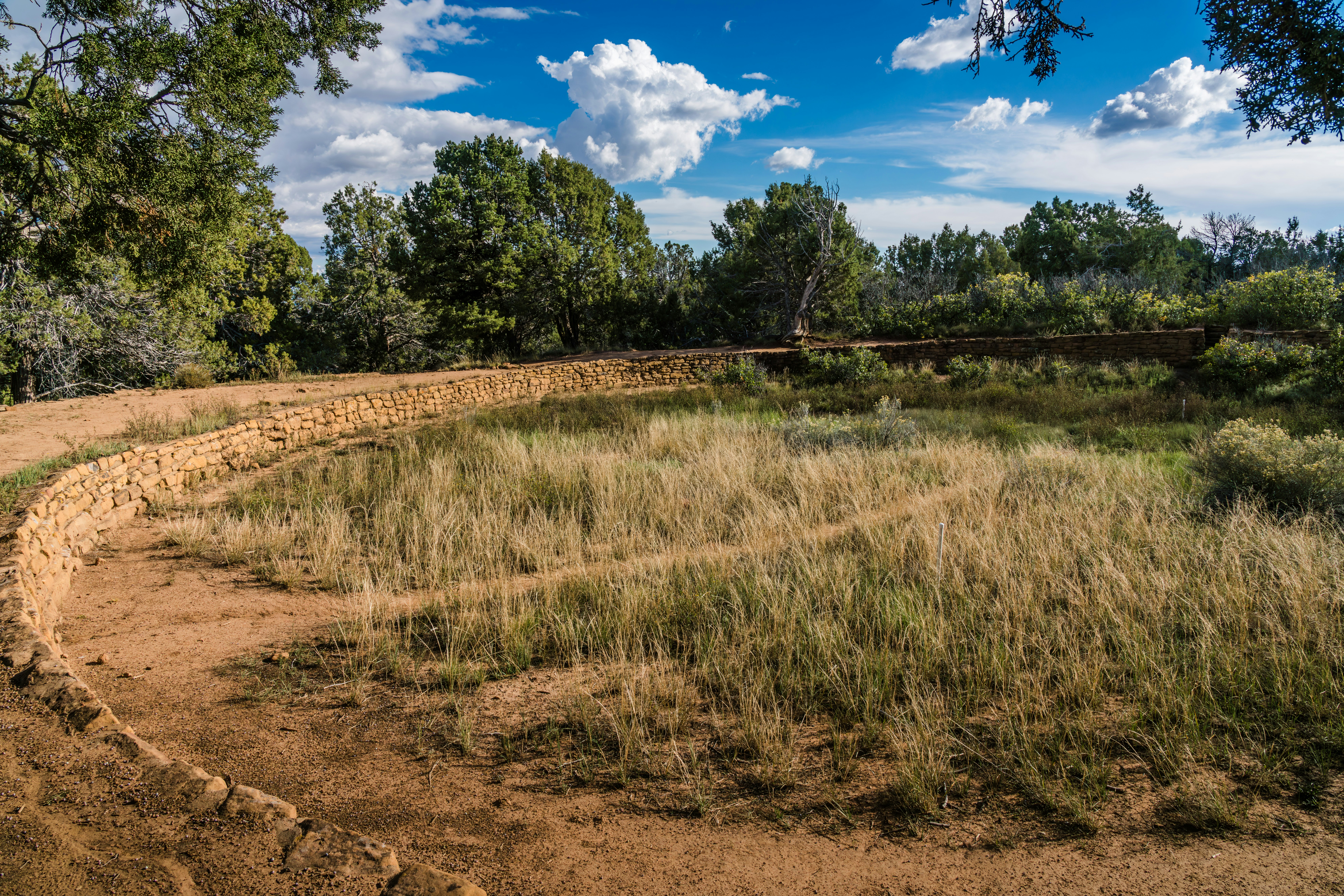 un muro de piedra en medio de un campo
