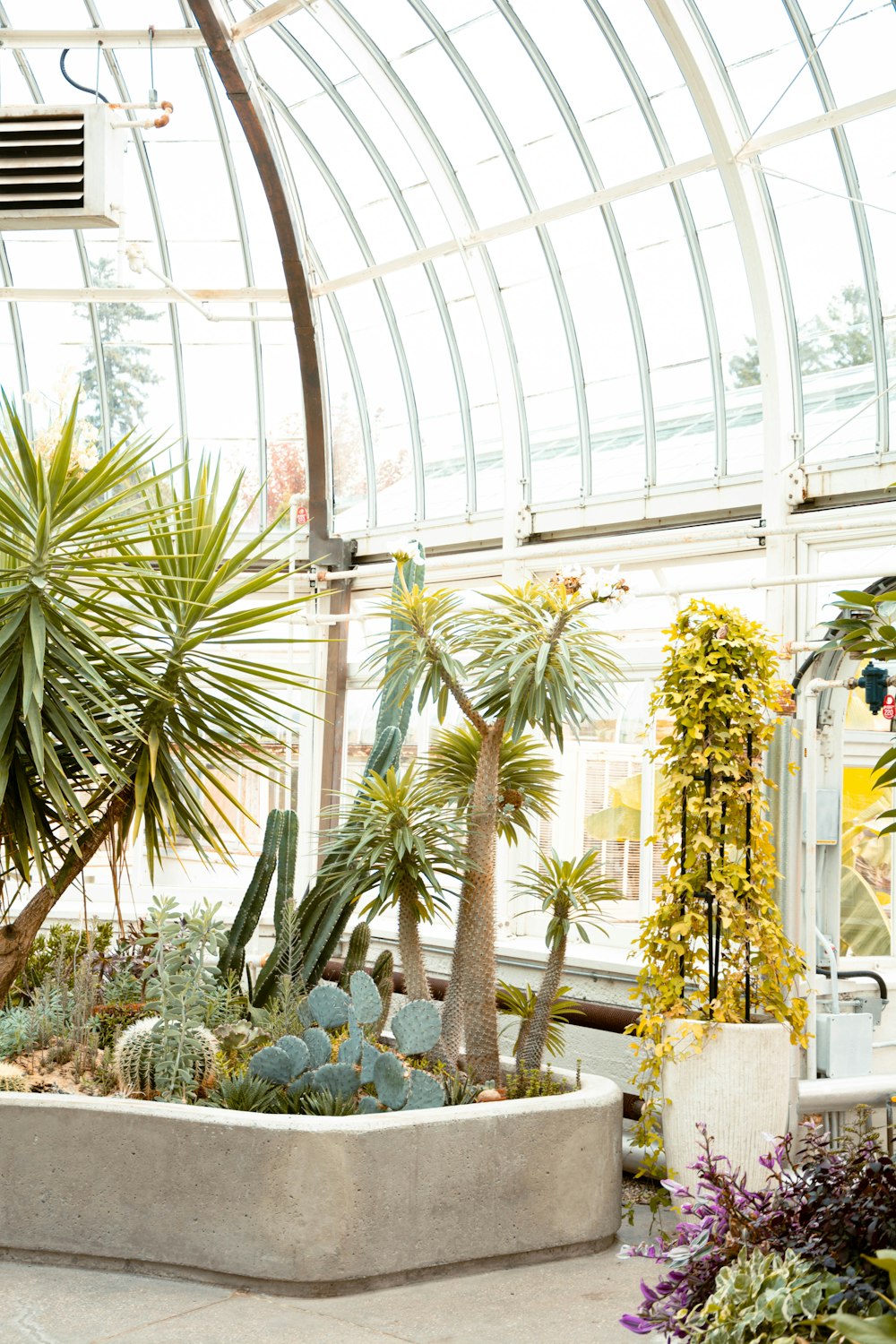 a bunch of plants that are inside of a building