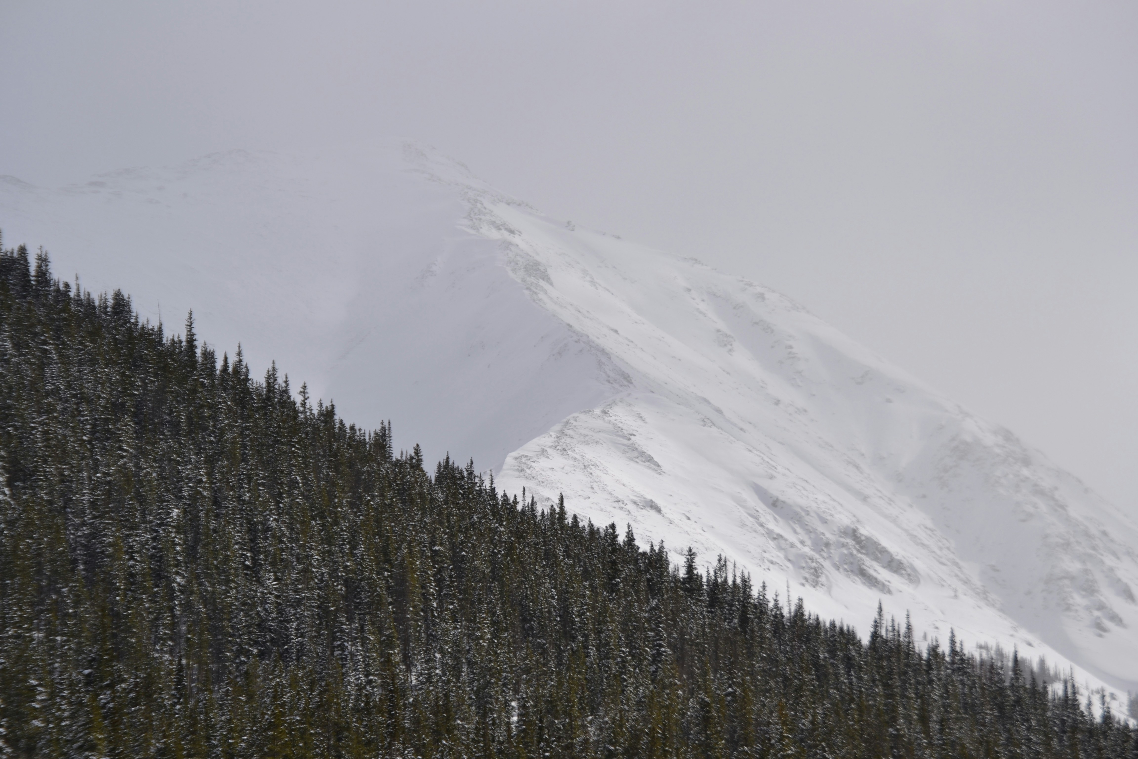 Photo by spineynorman