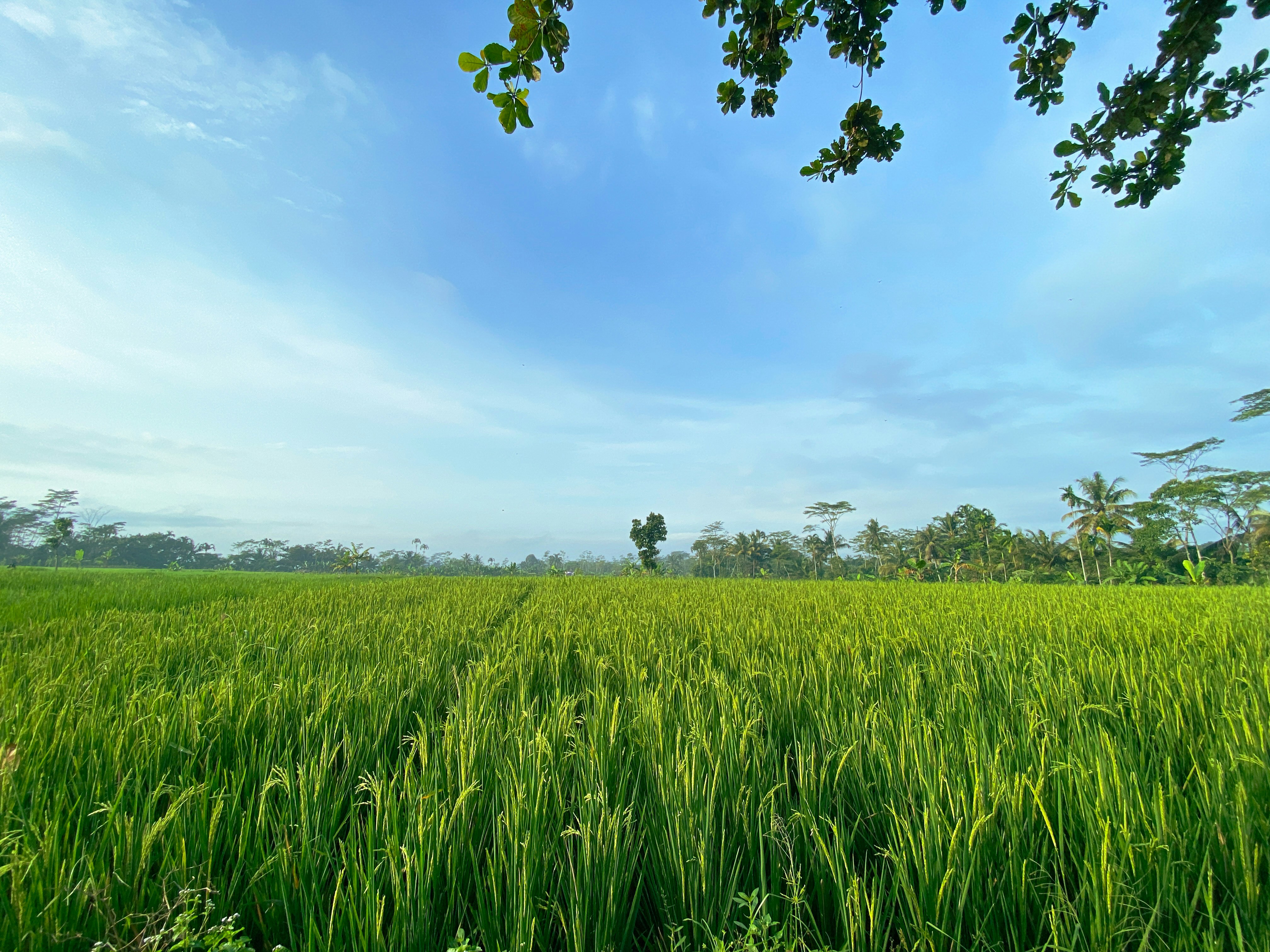 Photo by galeryadhika