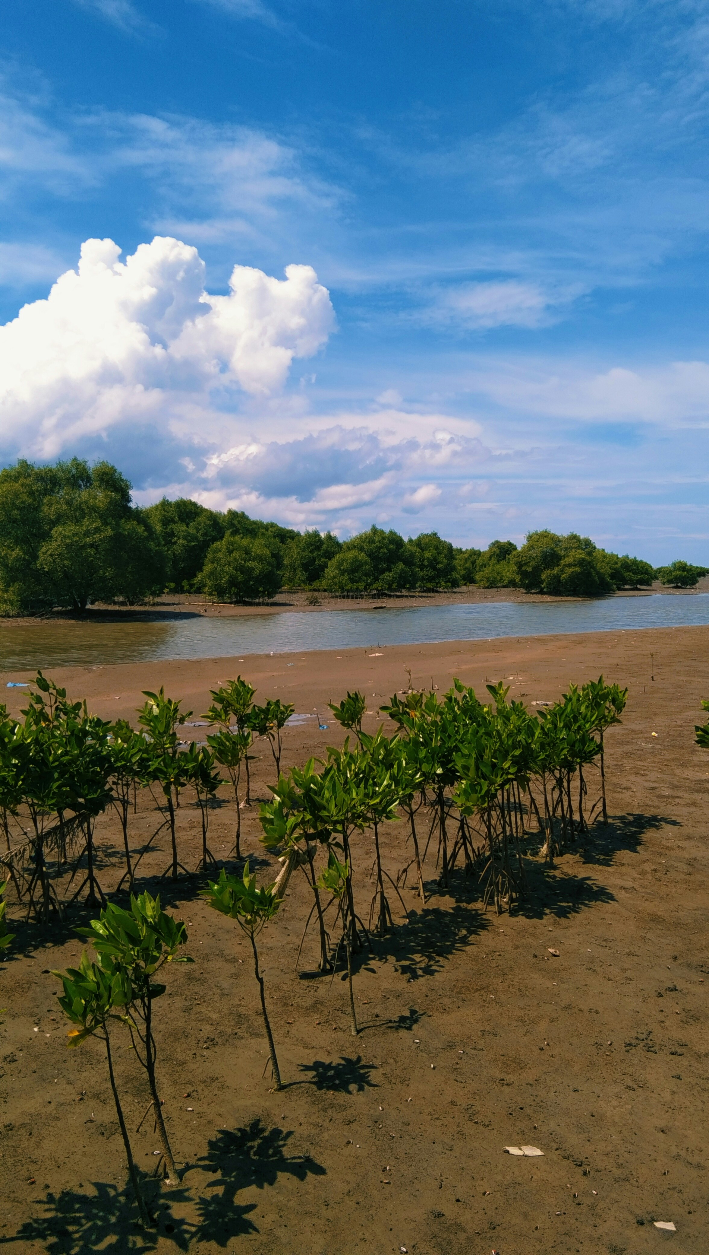 Photo by naufalscpt