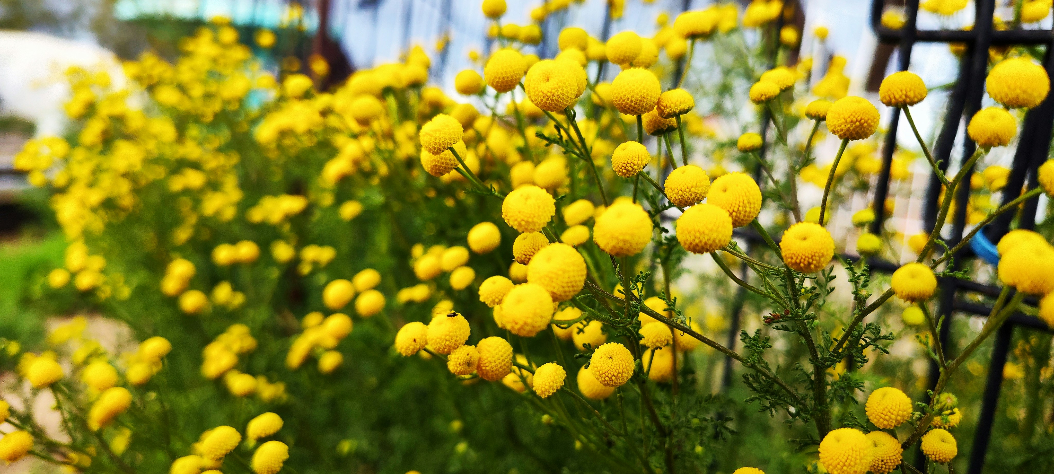 Photo by christianhon