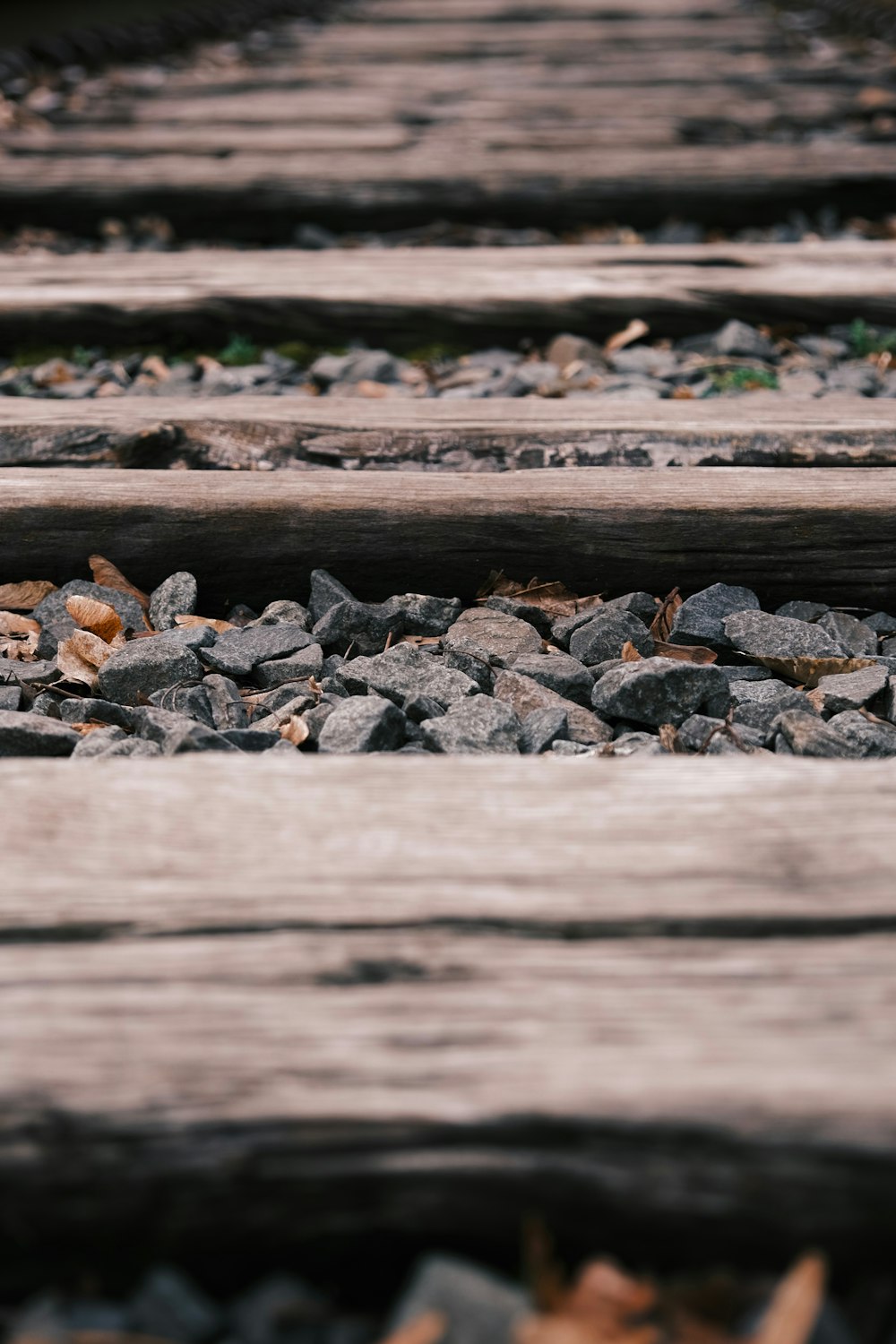 a close up of a train track with rocks and leaves