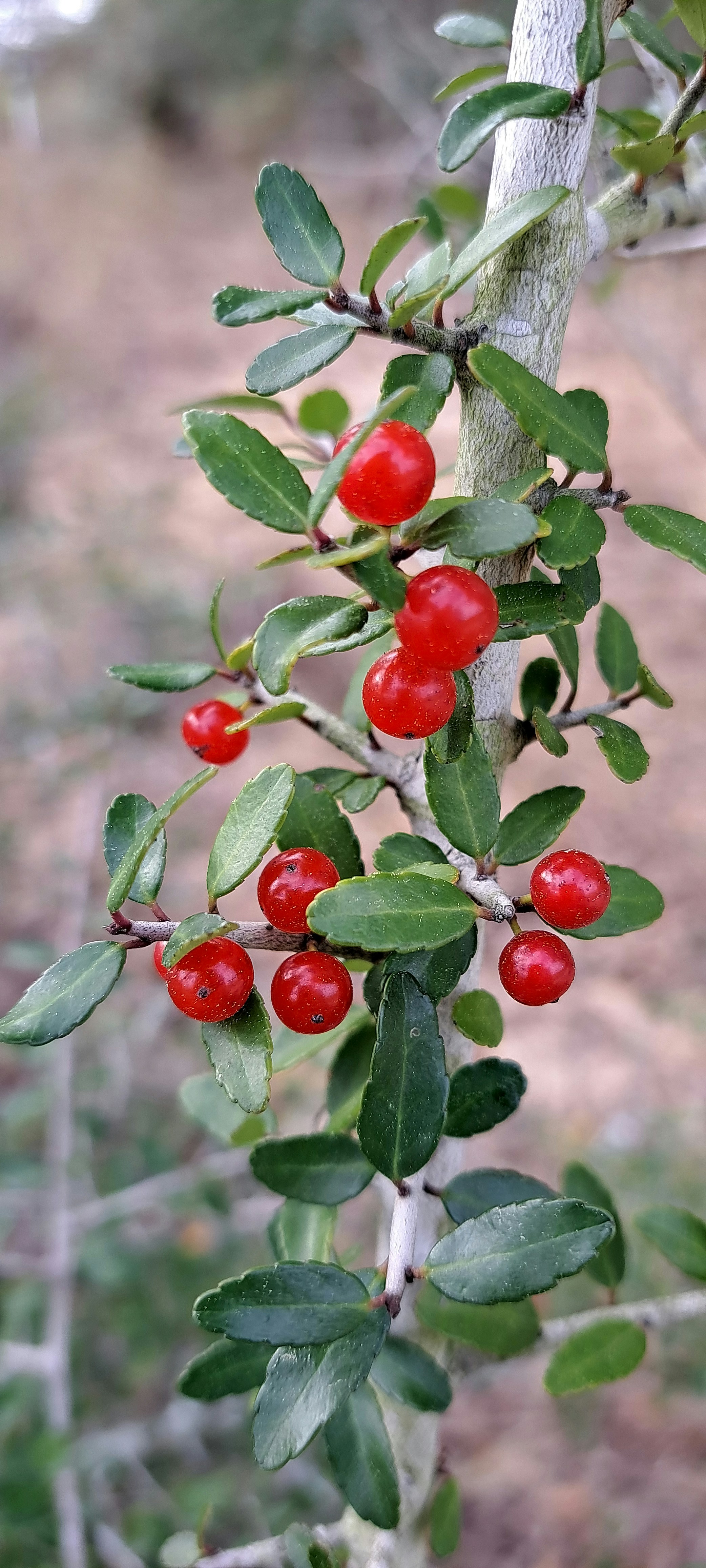 Photo by livinginusa_channel