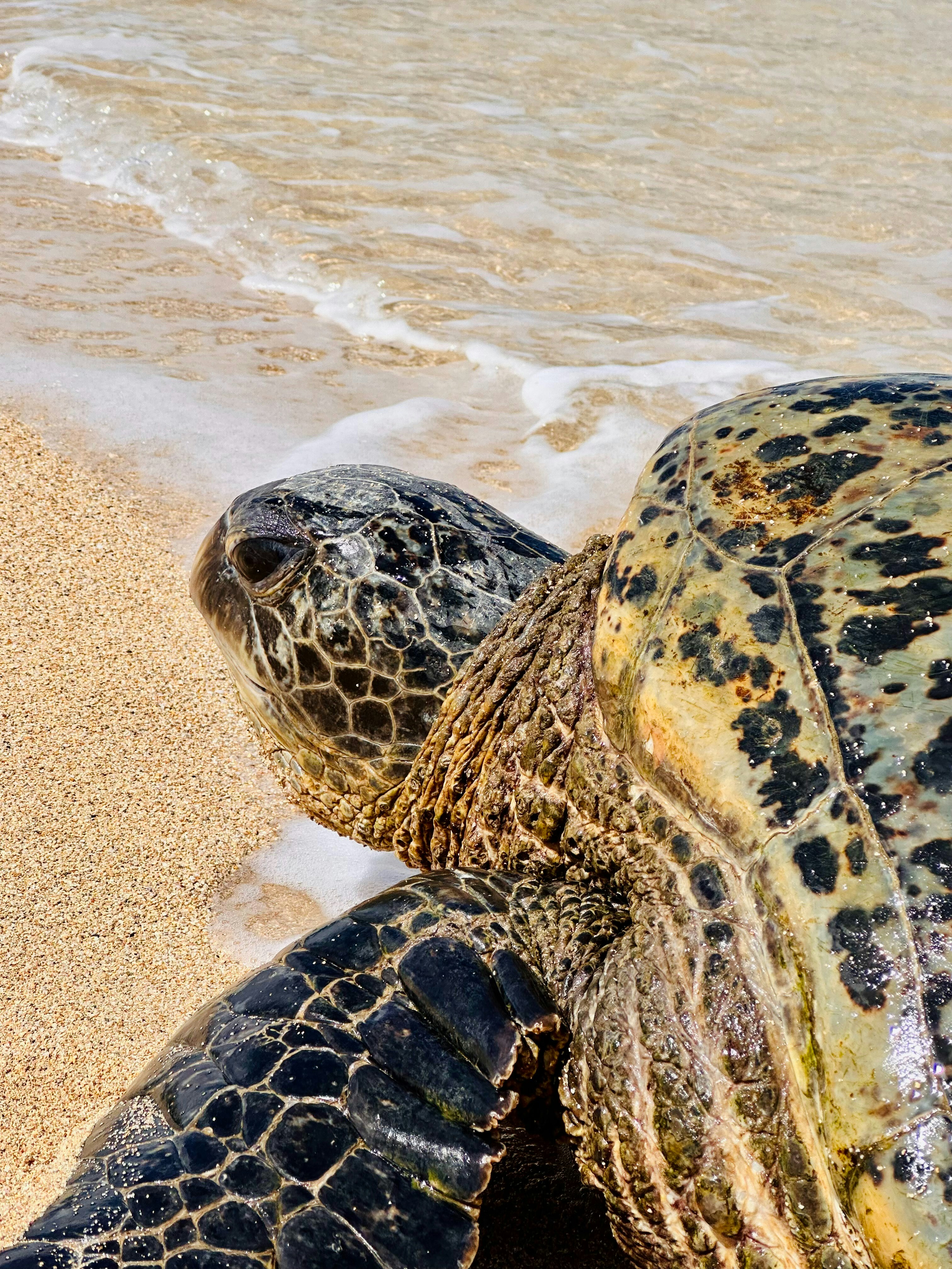 Photo by jordanfer98