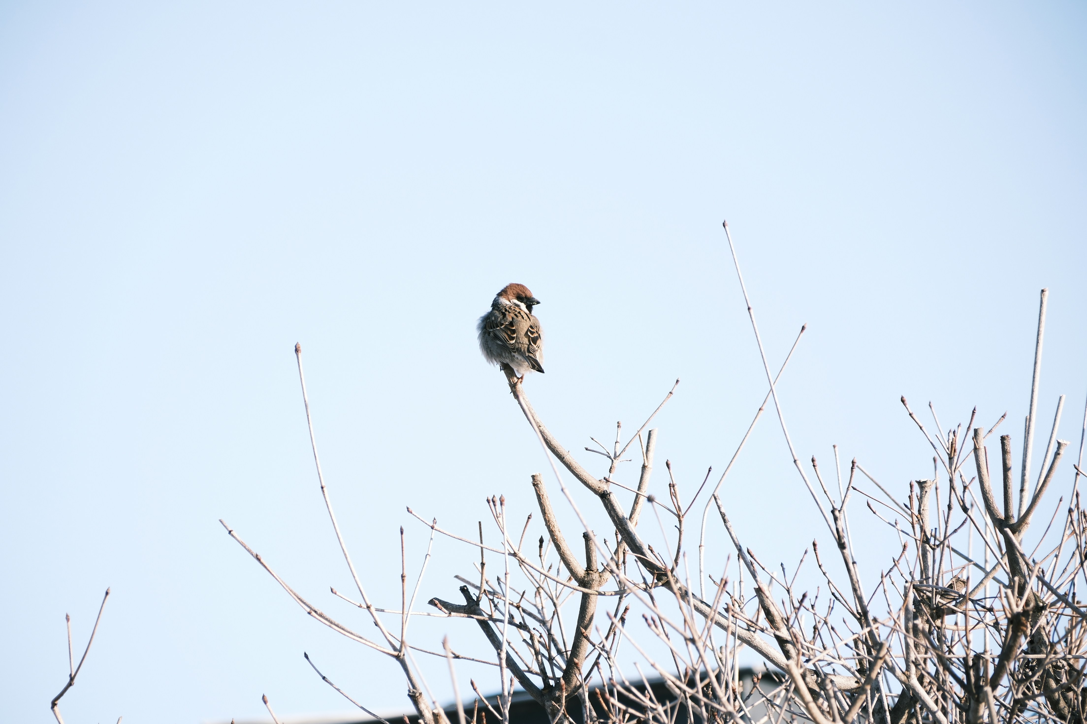 Photo by seiya_maeda