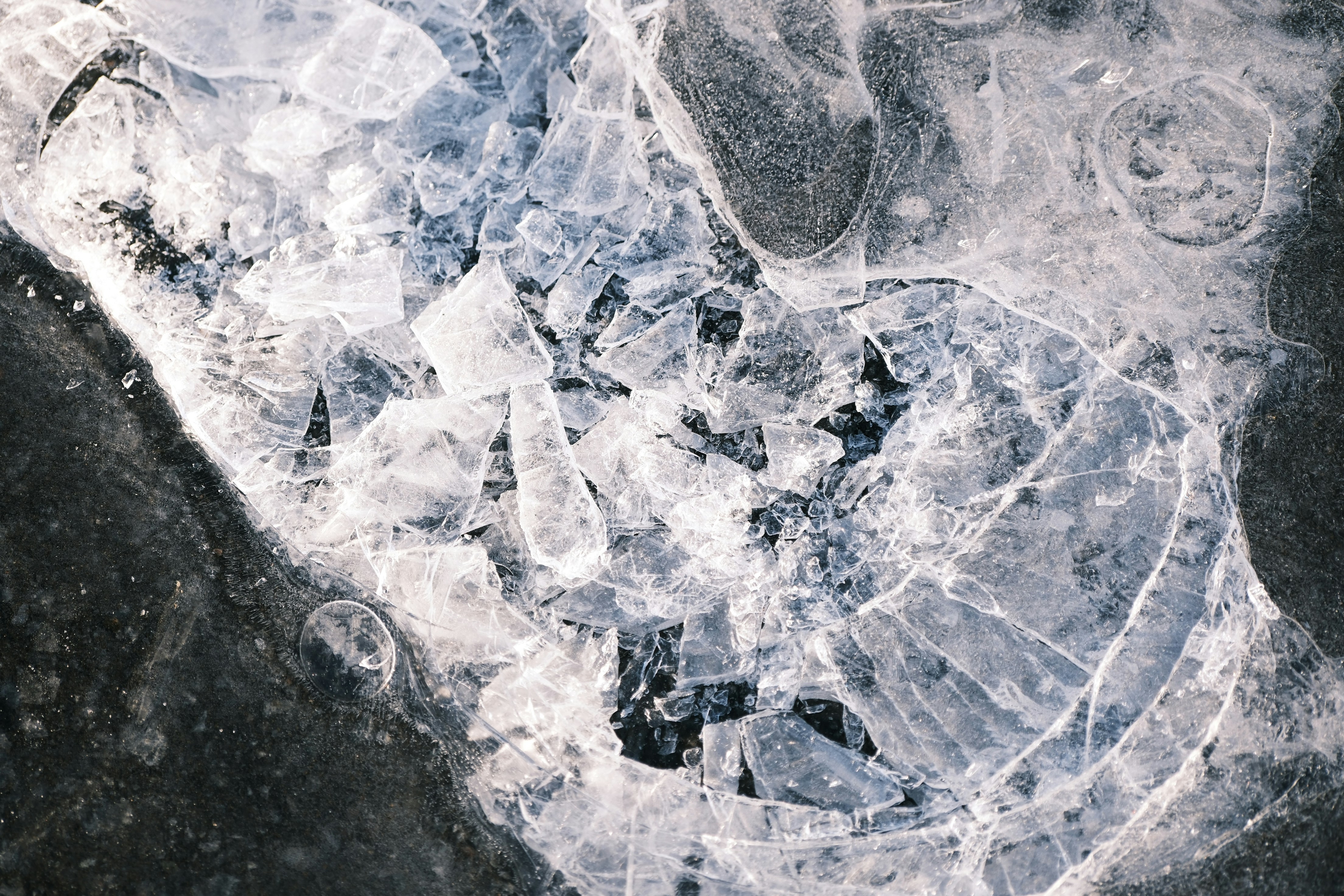 Photo by seiya_maeda