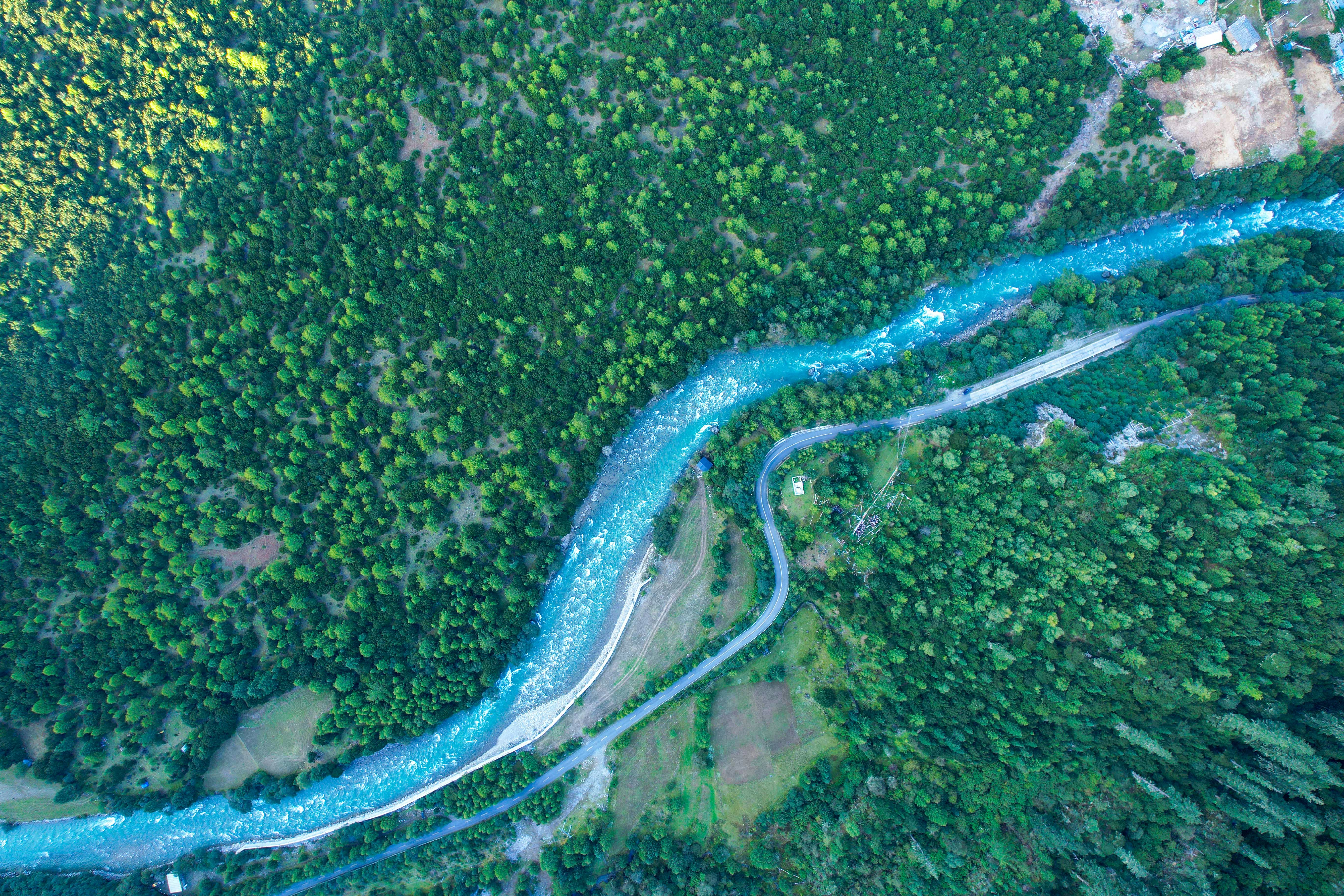The Amazon Basin: A Reversal in Deep Time (image credits: unsplash)