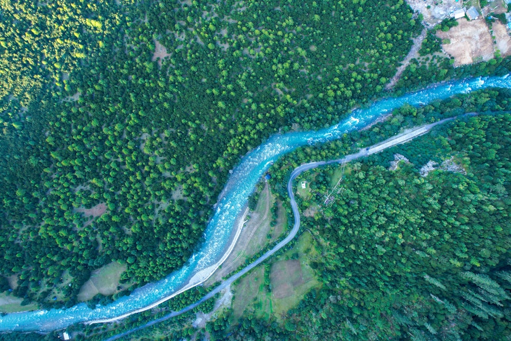 a river running through a lush green forest