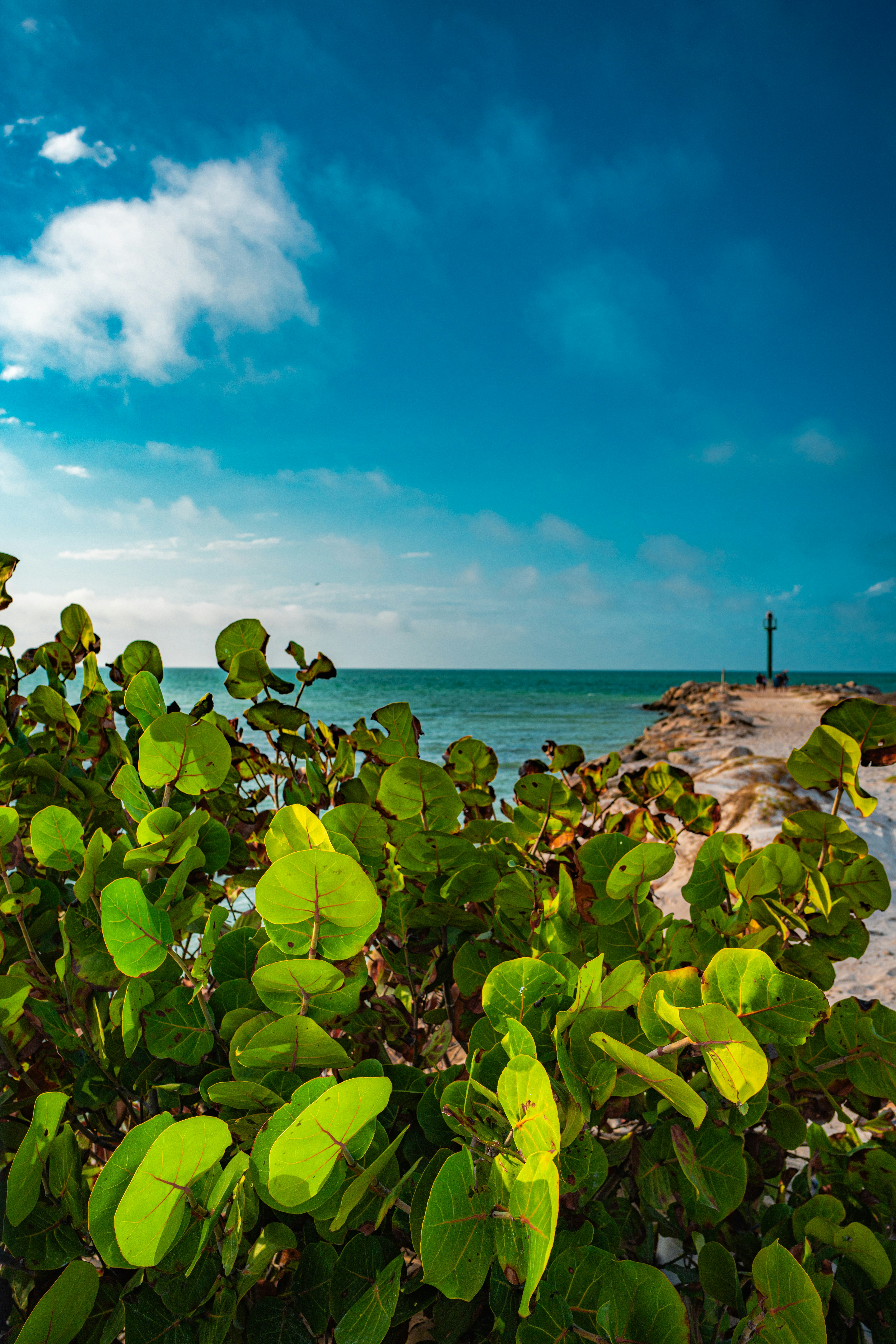 Photo by salabarria_23