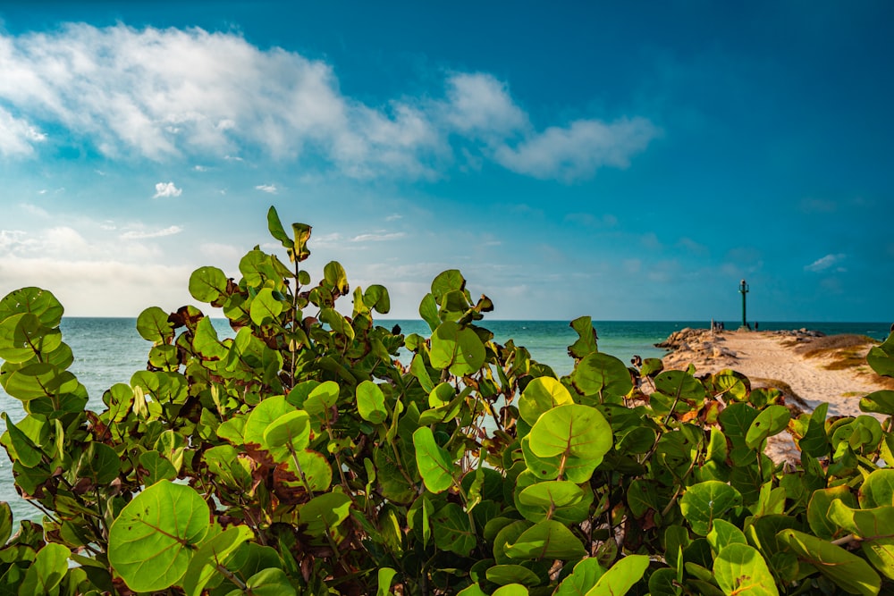 a view of a body of water with a lighthouse in the distance