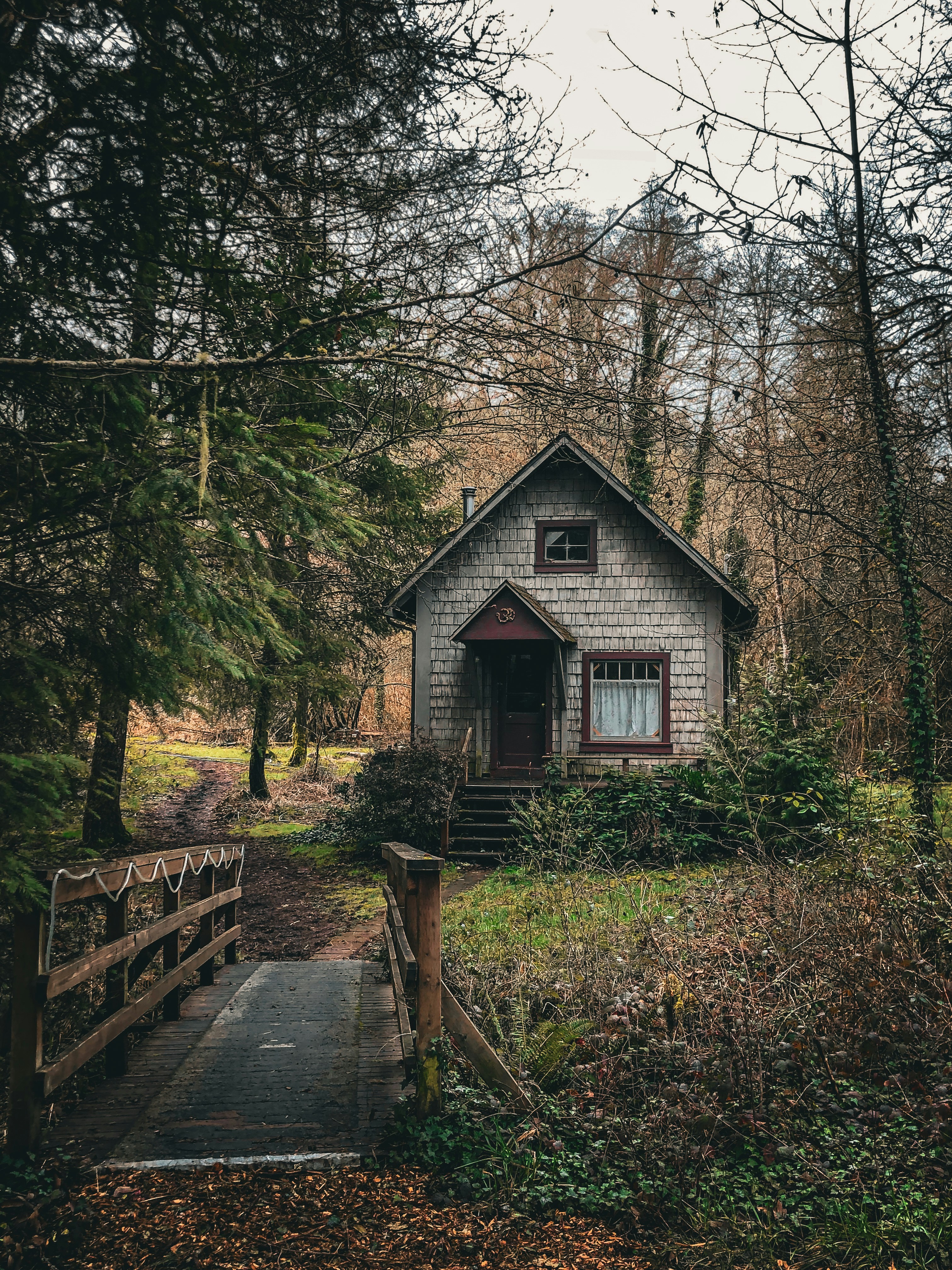 Photo by ashesofwild