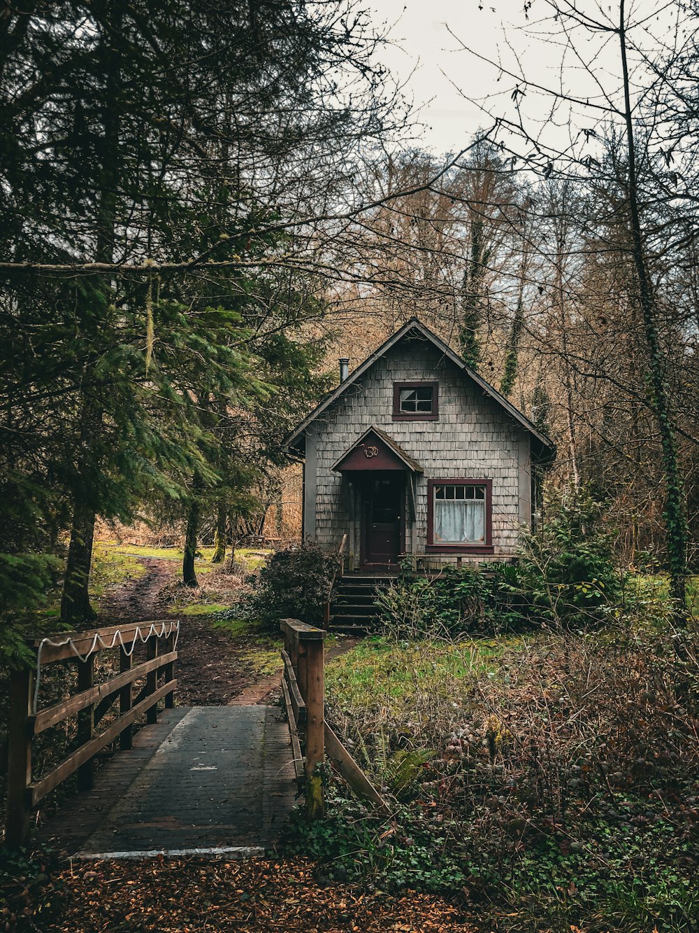 a small house in the middle of a forest