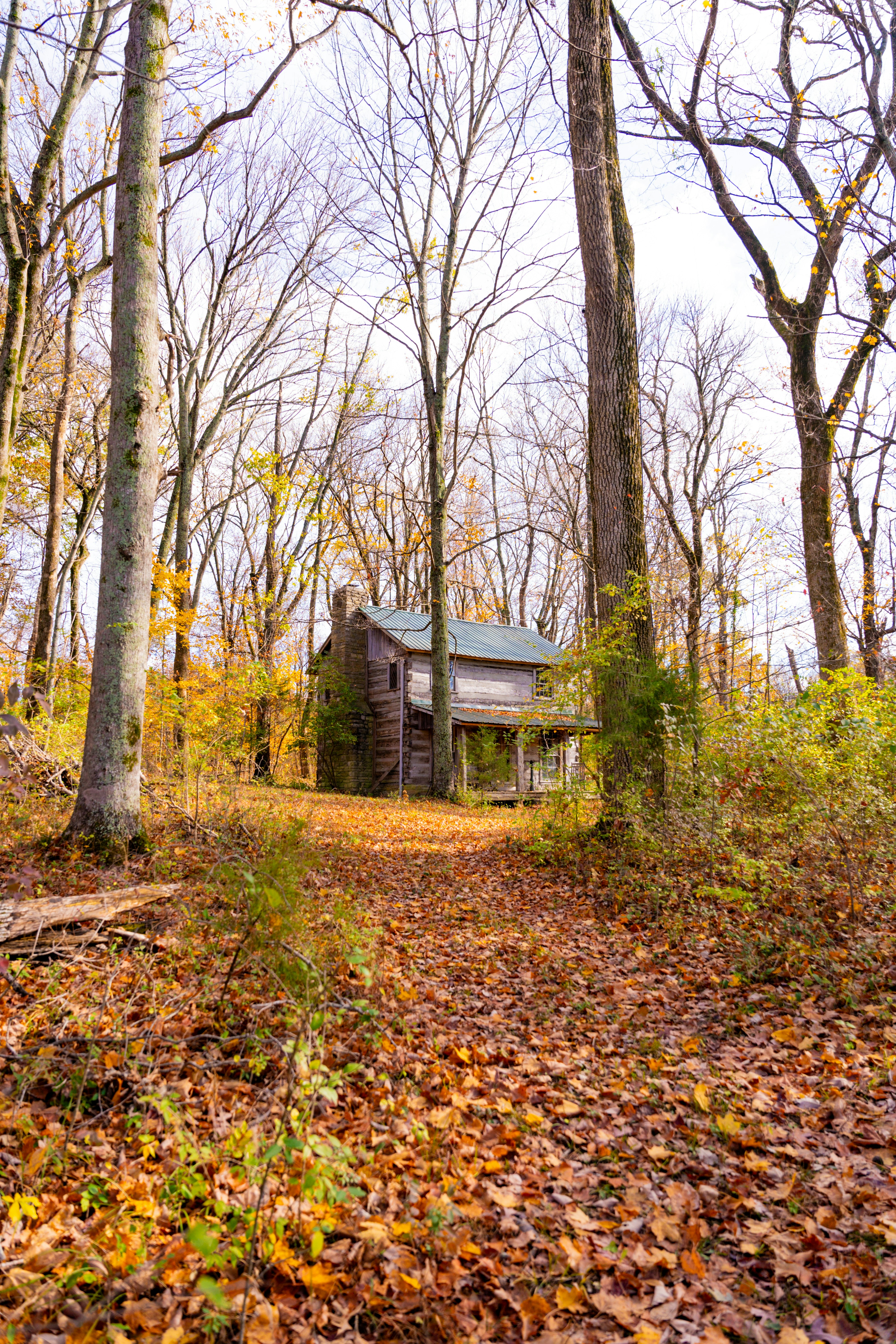 Photo by ashesofwild