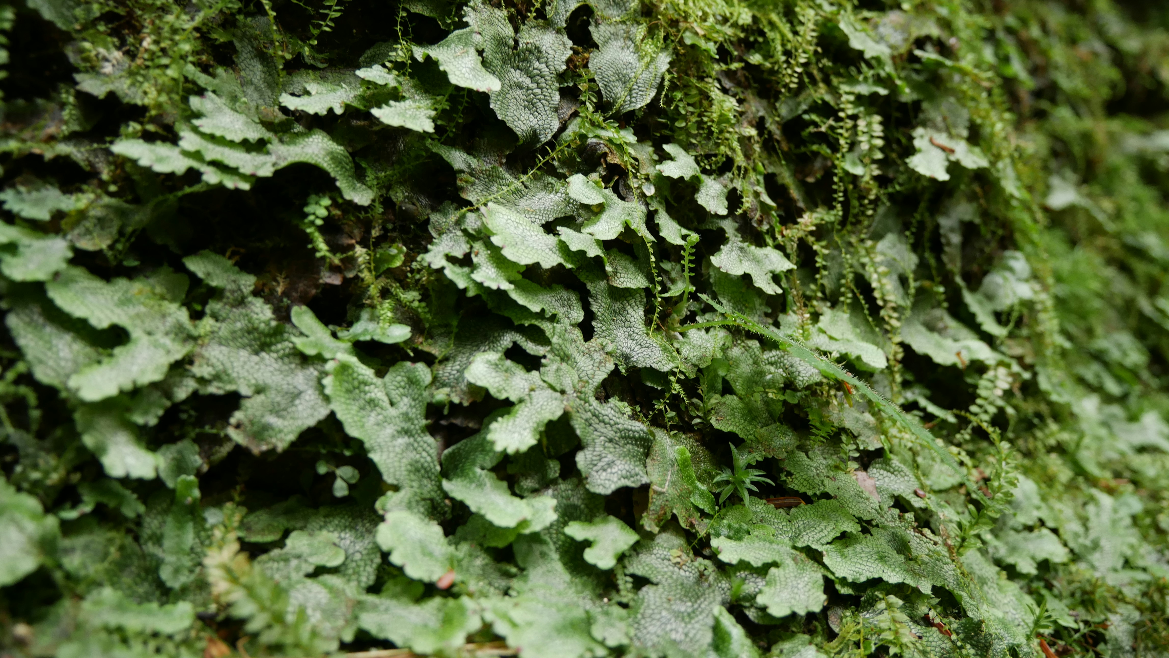 Photo by jacobzietek