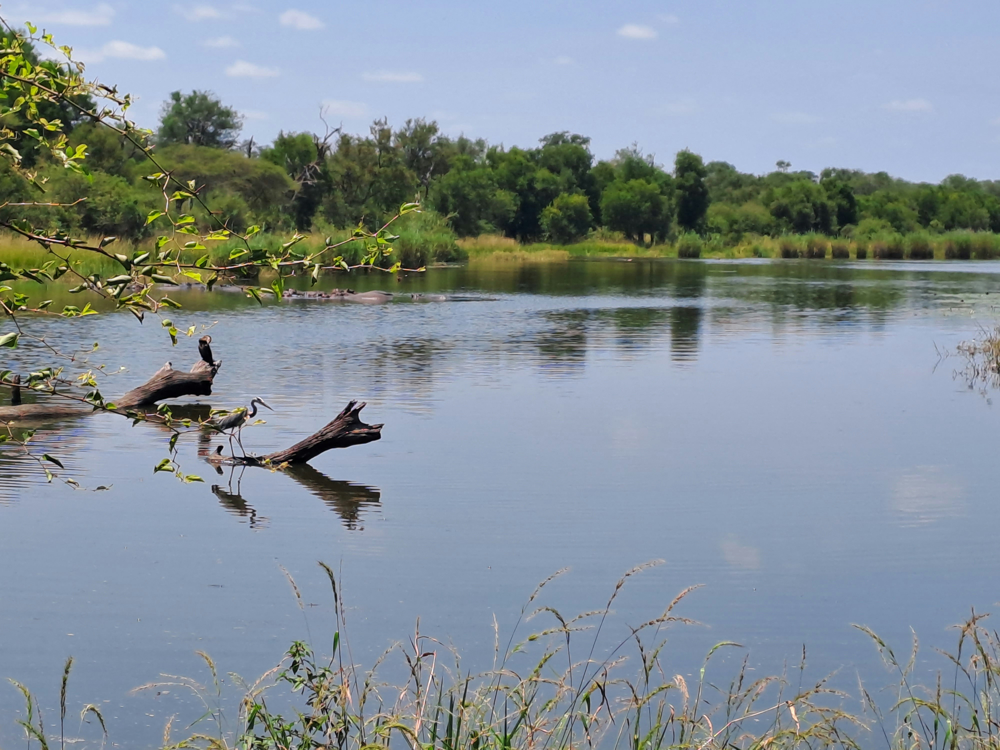 Umgeni River Bird Park photo 3