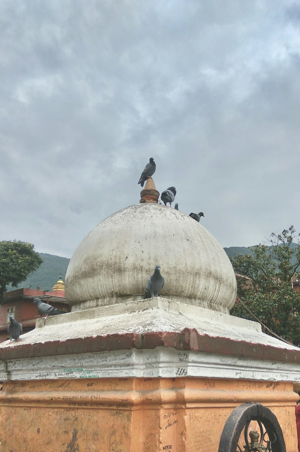 a group of birds sitting on top of a building