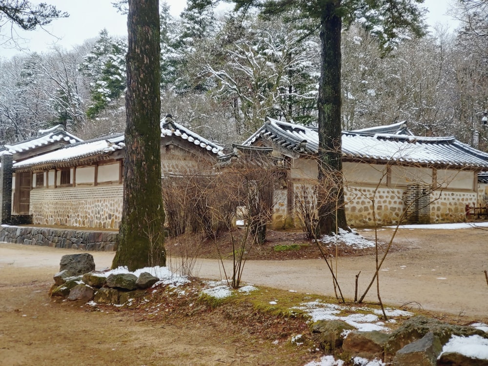 a couple of houses that are in the snow