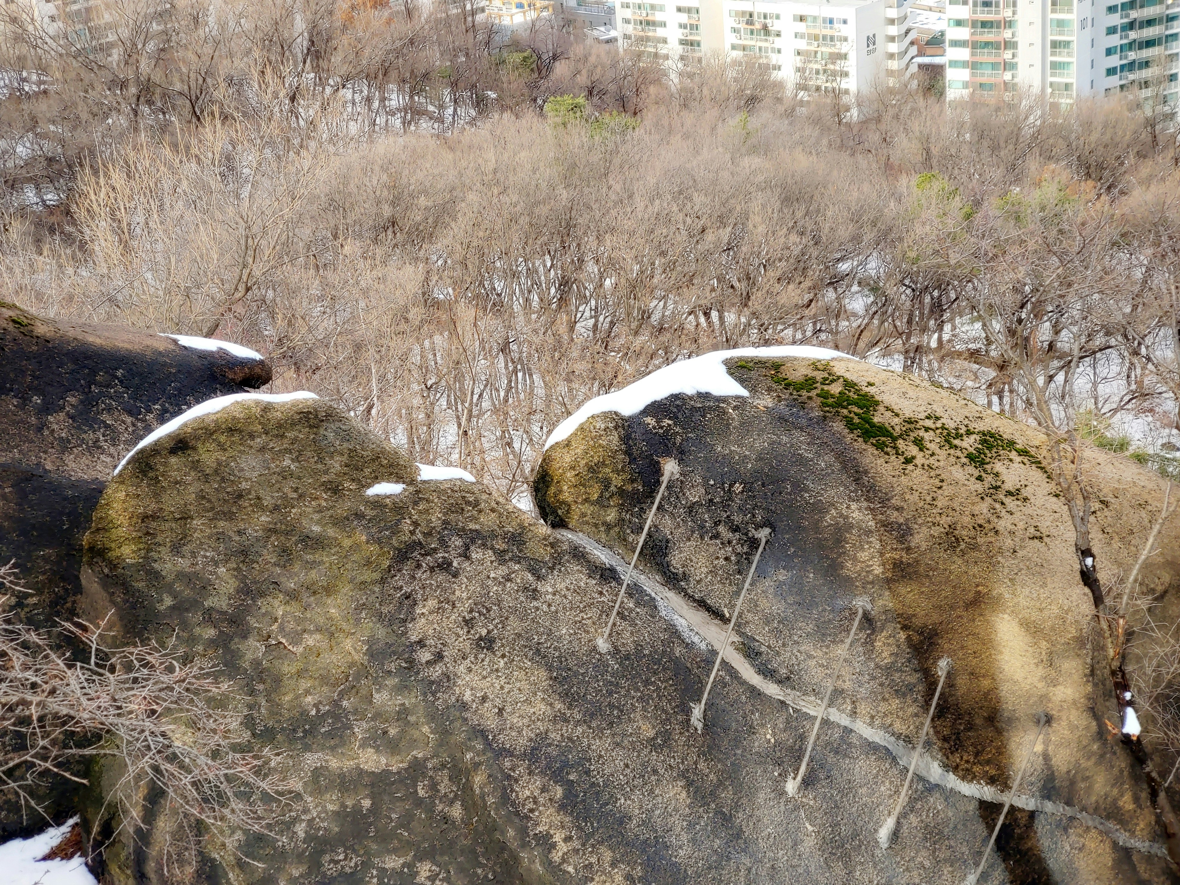 photo-1709872508407-c10c024676cc?ixid=M3wxMjA3fDB8MXxzZWFyY2h8Nnx8JUVDJTk1JTg4JUVDJTgyJUIwJTIwJUVDJTk1JTg0JUVCJUExJTlDJUVCJUE3JTg4JTIwJUVCJUE3JTg4JUVDJTgyJUFDJUVDJUE3JTgwfGVufDB8fHx8MTc0MDg0MzkxNHww\u0026ixlib=rb-4.0.3