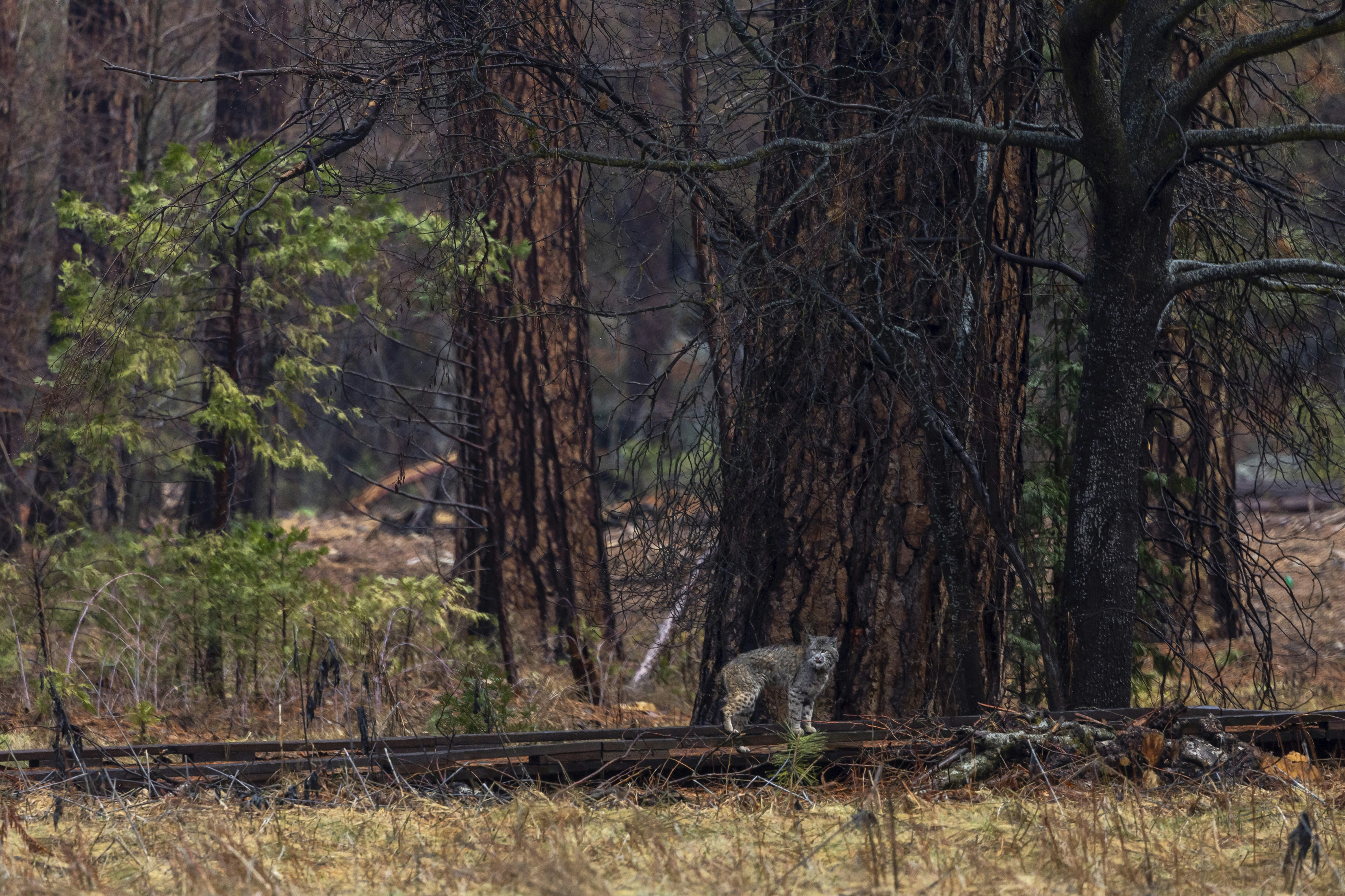 Photo by leo_visions_