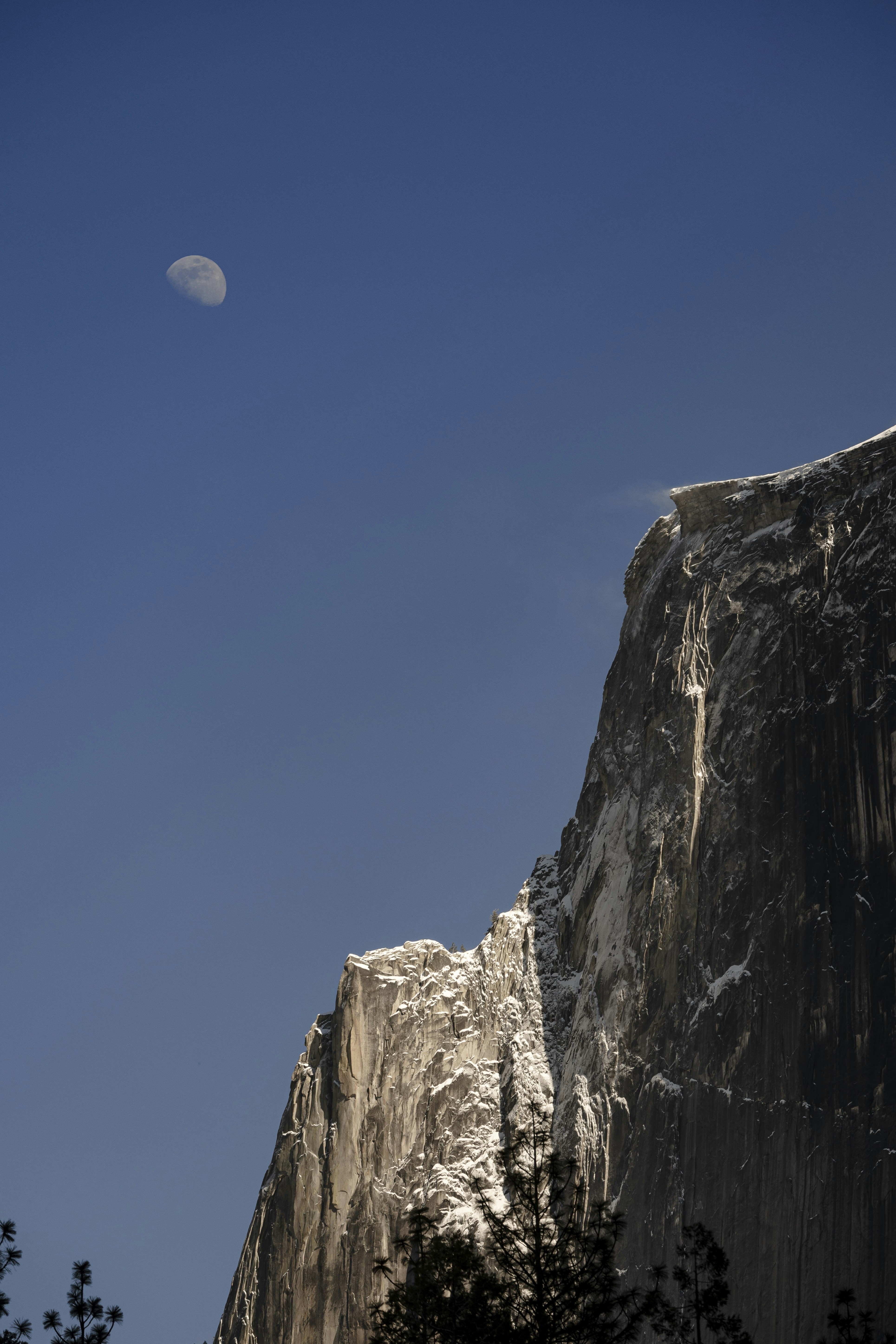 Photo by leo_visions_