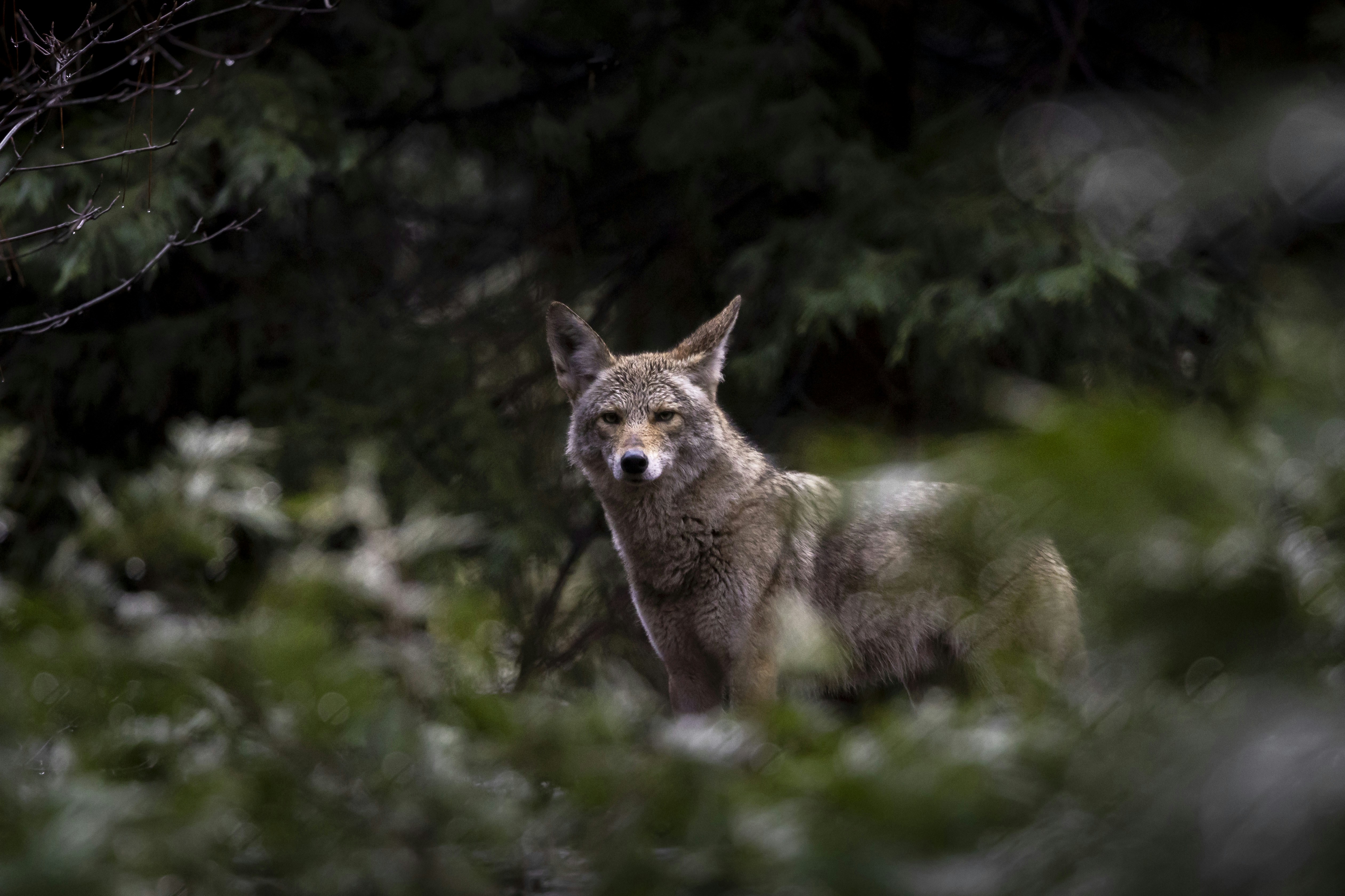 Photo by leo_visions_