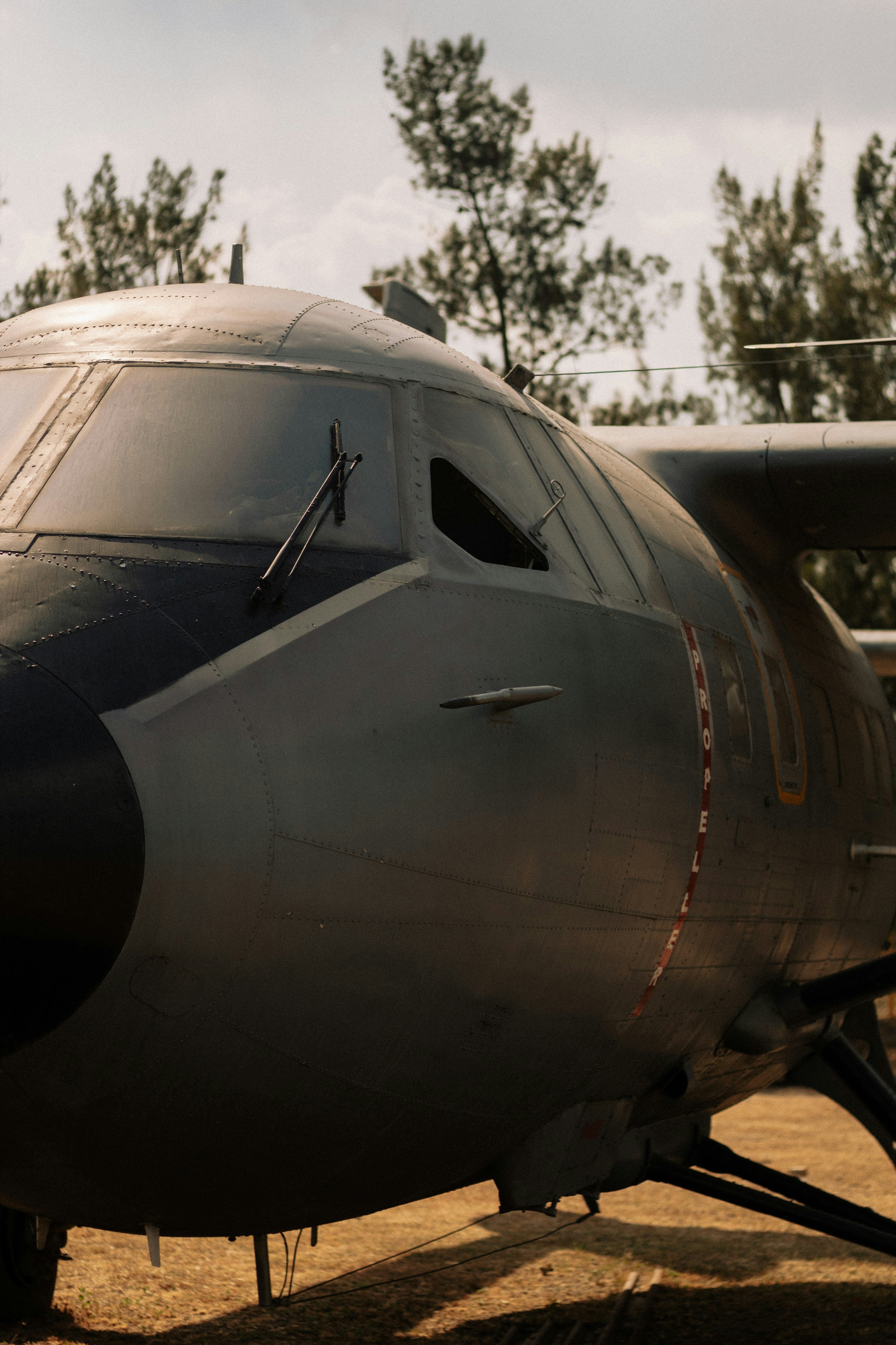 Photo by manuelfigueroa