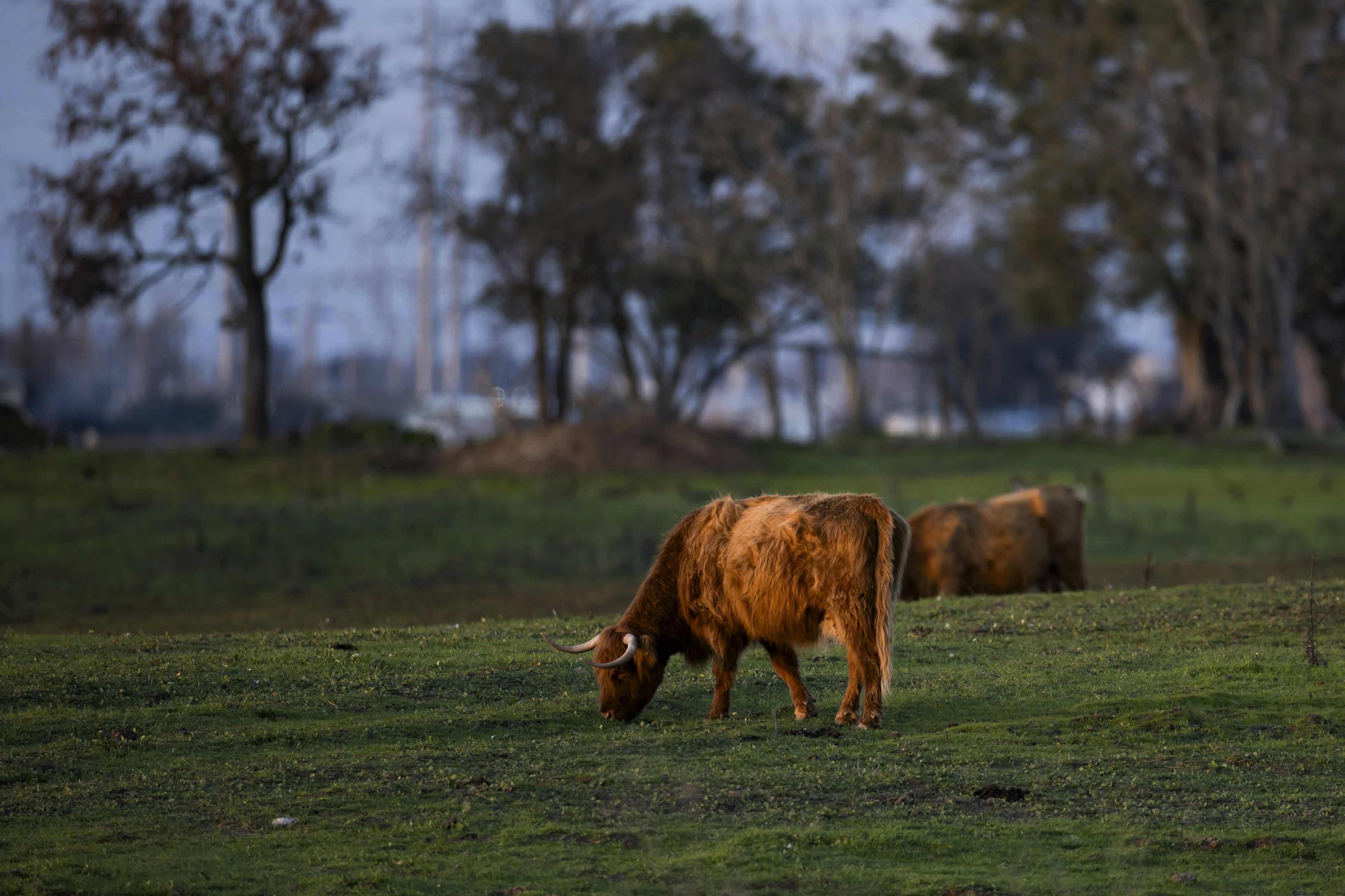 Photo by leo_visions_