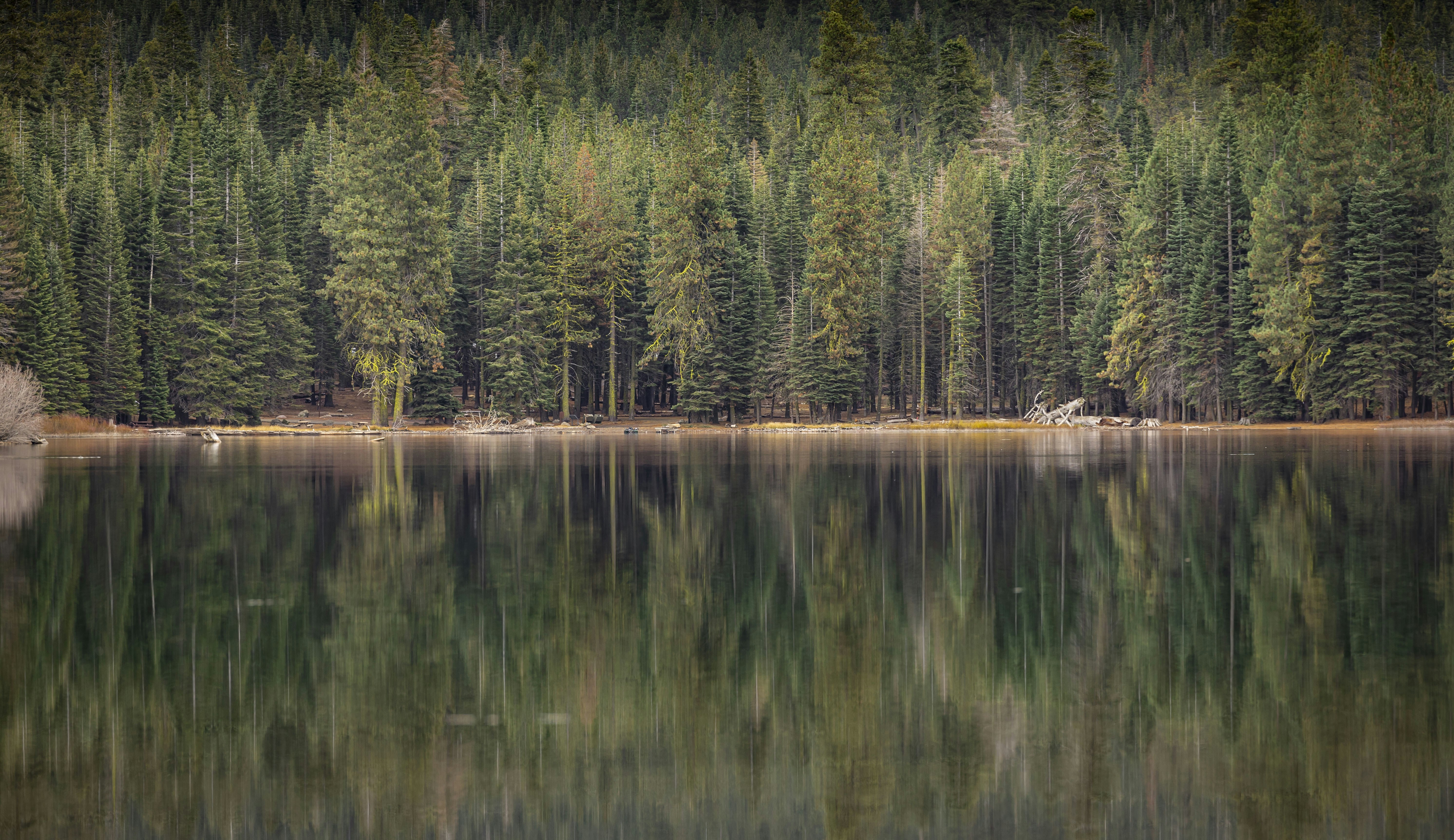 Photo by leo_visions_