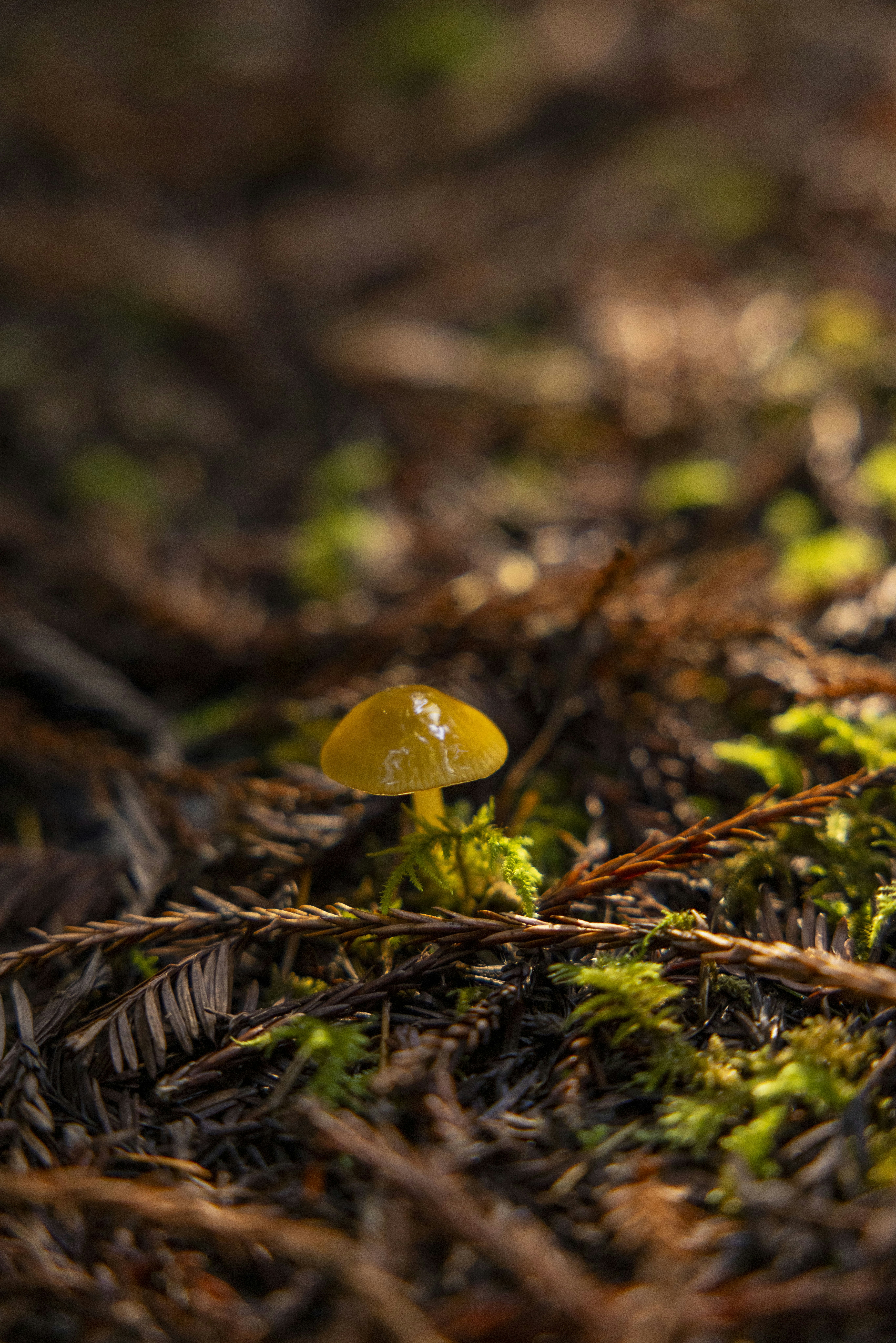 Photo by leo_visions_