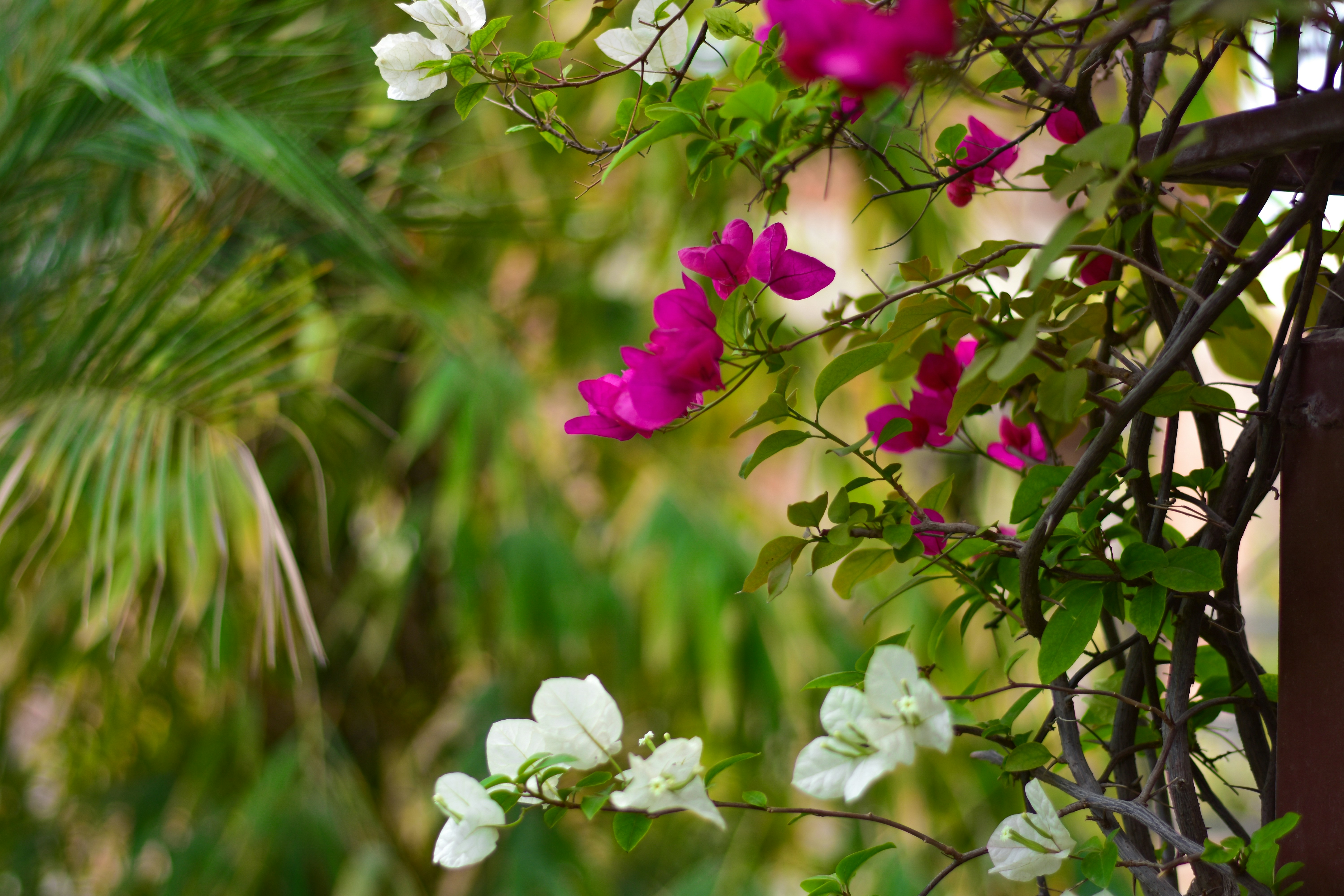 Photo by neelakshi_singh_