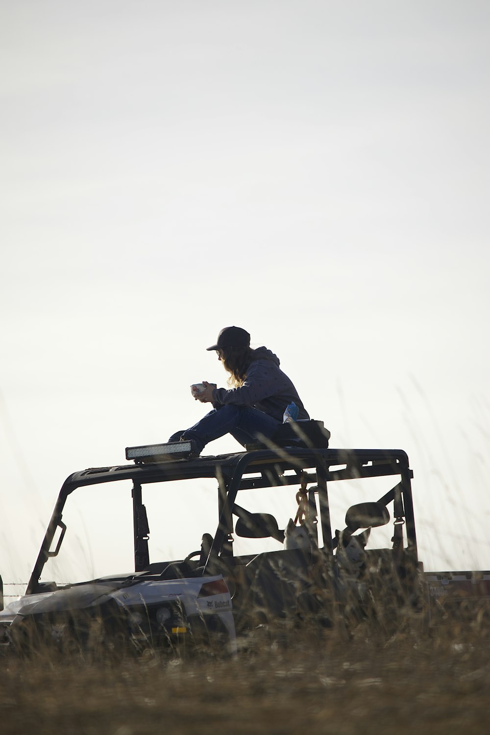 une personne assise sur le toit d’un véhicule dans un champ