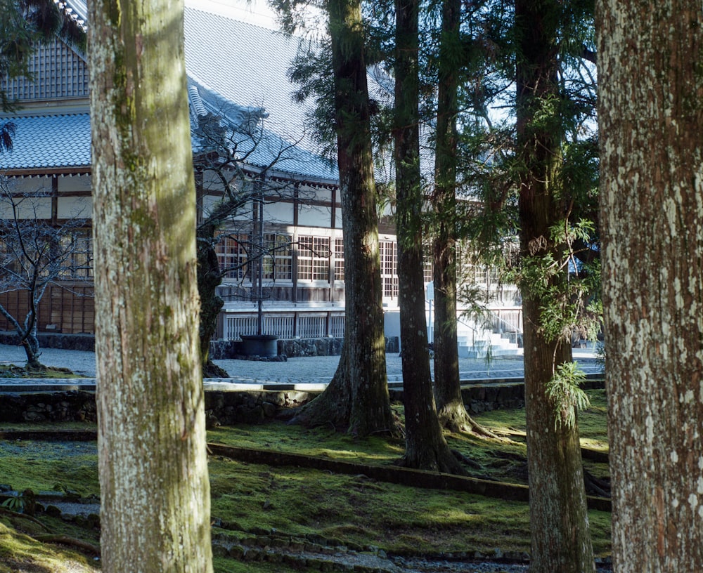 a building surrounded by trees in a park