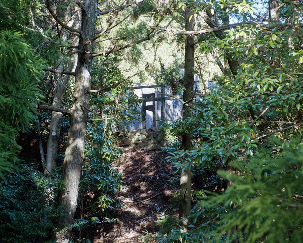 a path in the woods leading to a building