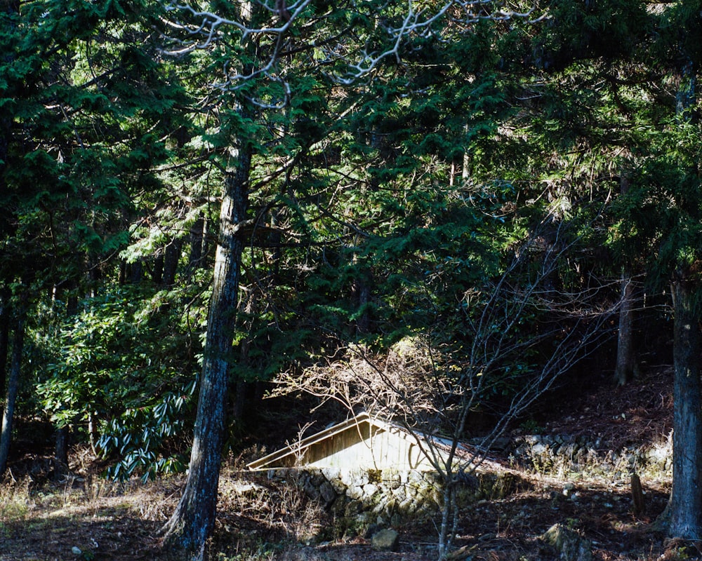 a small cabin in the middle of a forest