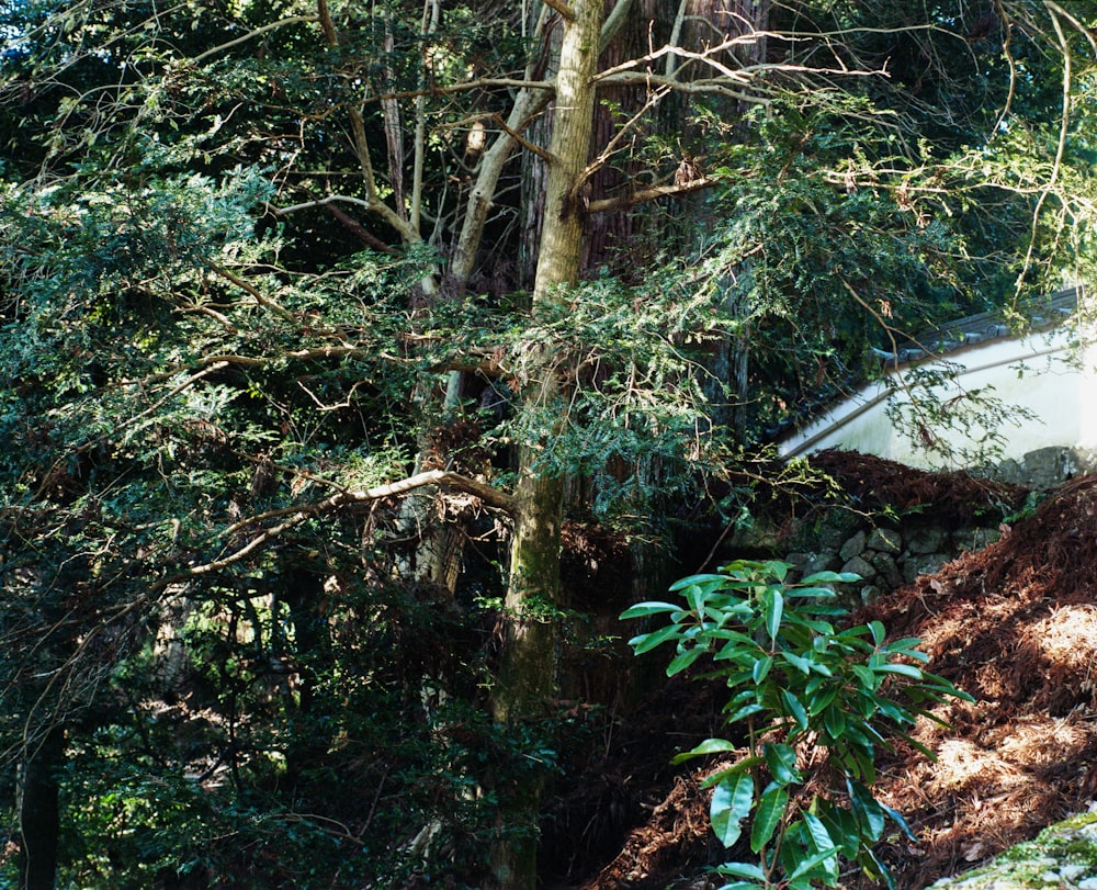 a boat sitting on top of a pile of dirt