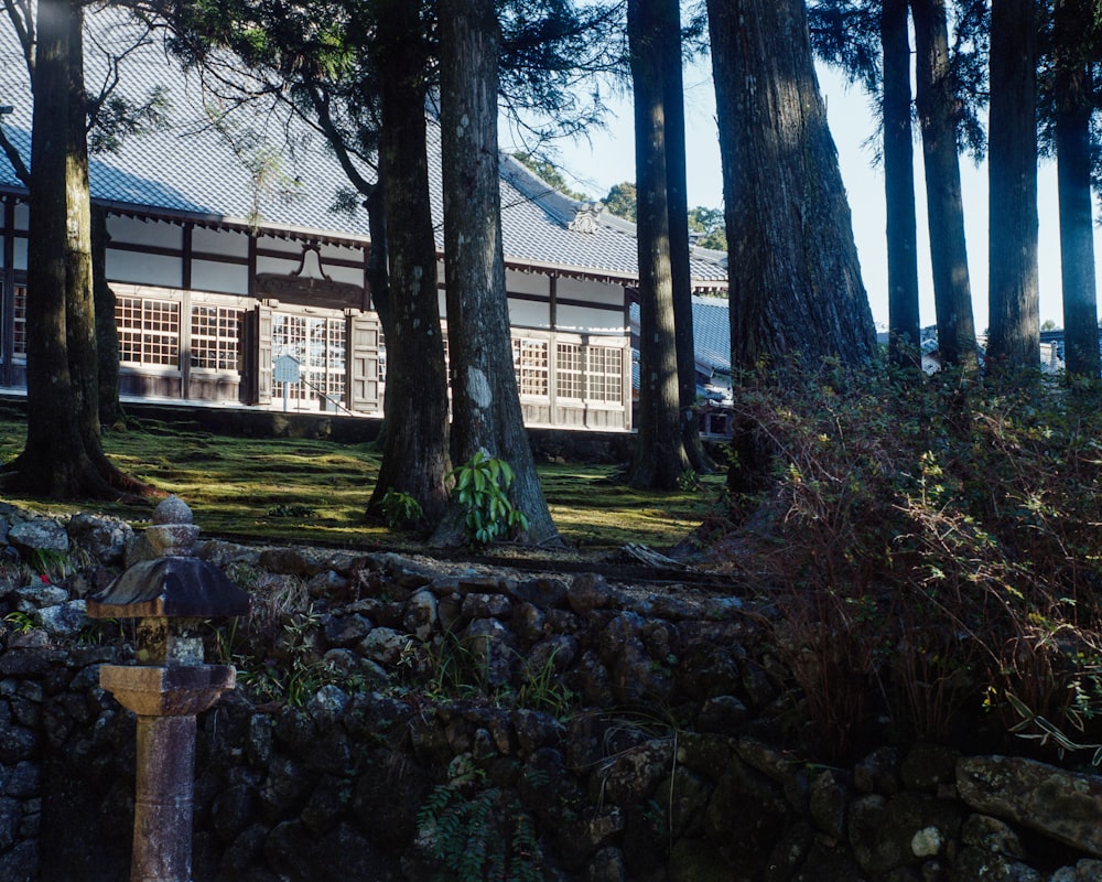 a fire hydrant in front of a building in the woods