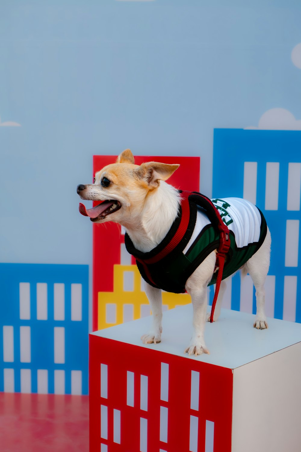 a small dog standing on top of a red and white block