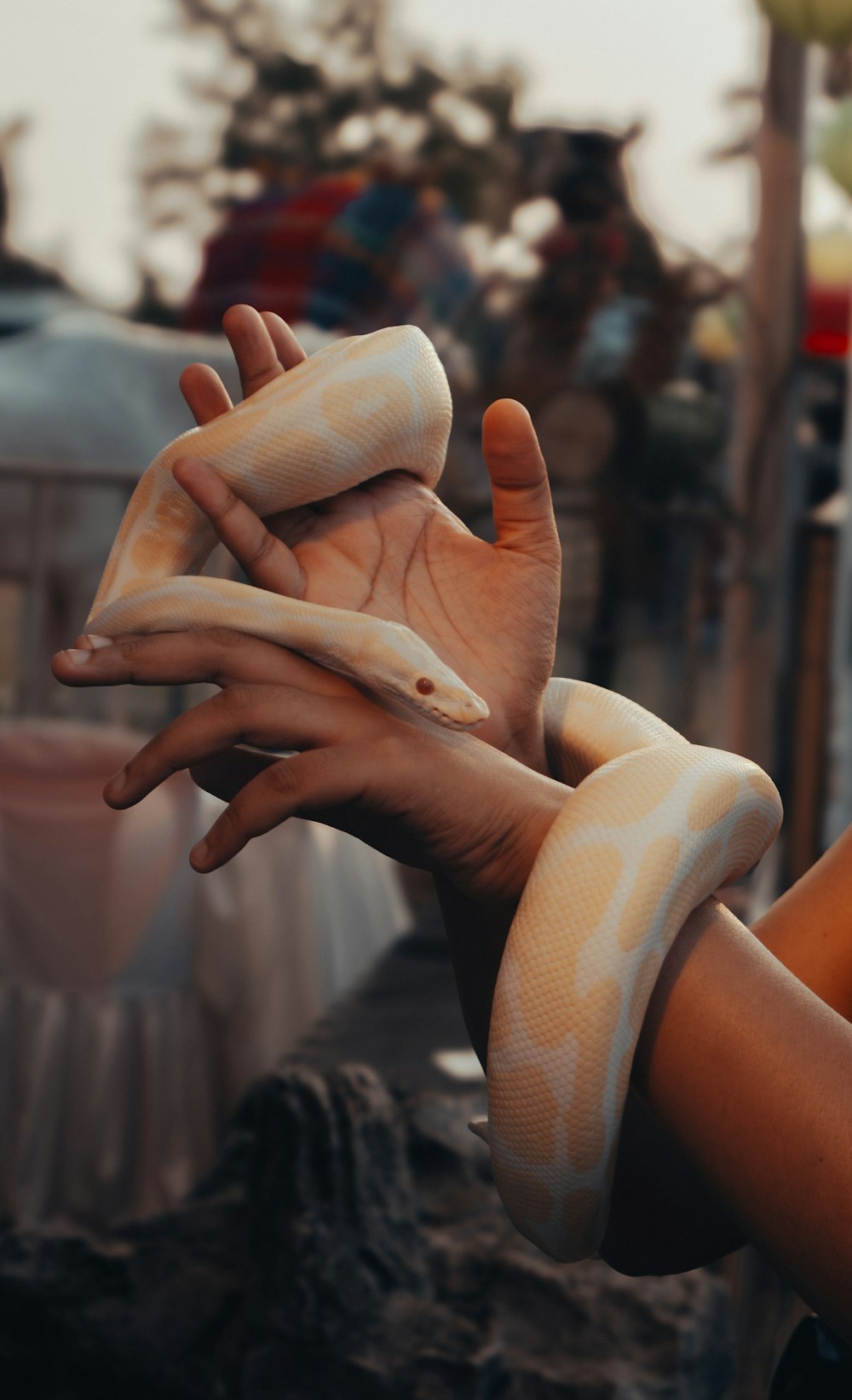 a person holding a snake in their hand