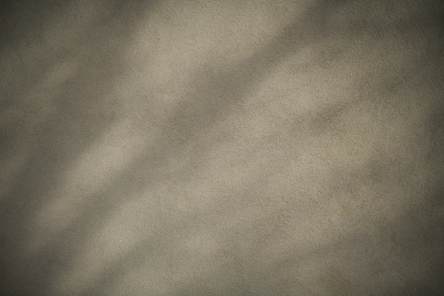 Soft shadows of branches falling across a plain sunlit wall