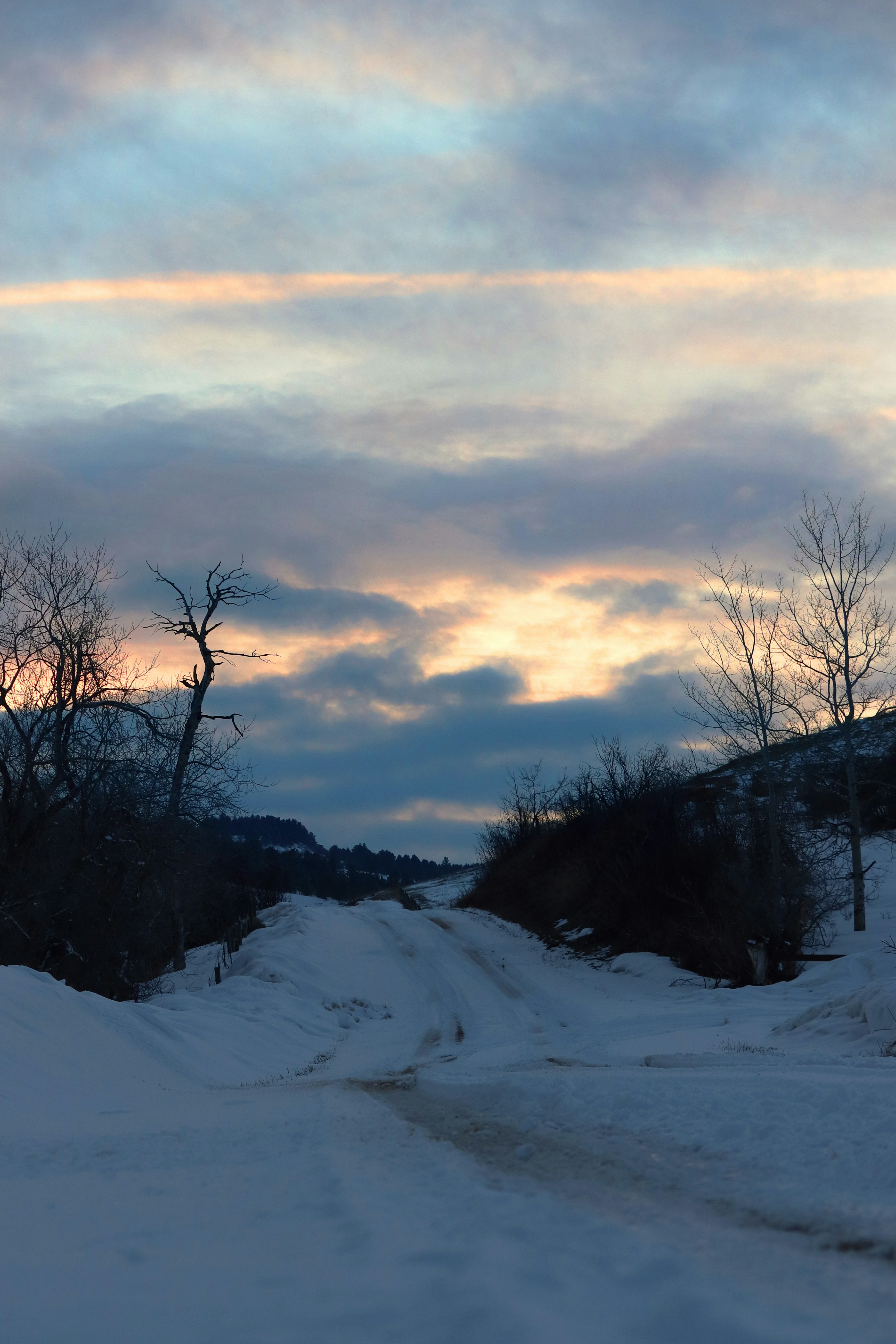 冬の風景 夕焼けの空の写真 | ロイヤリティフリー \u0026 高解像度画像を無料ダウンロード | cizucu, image size:3000x4500