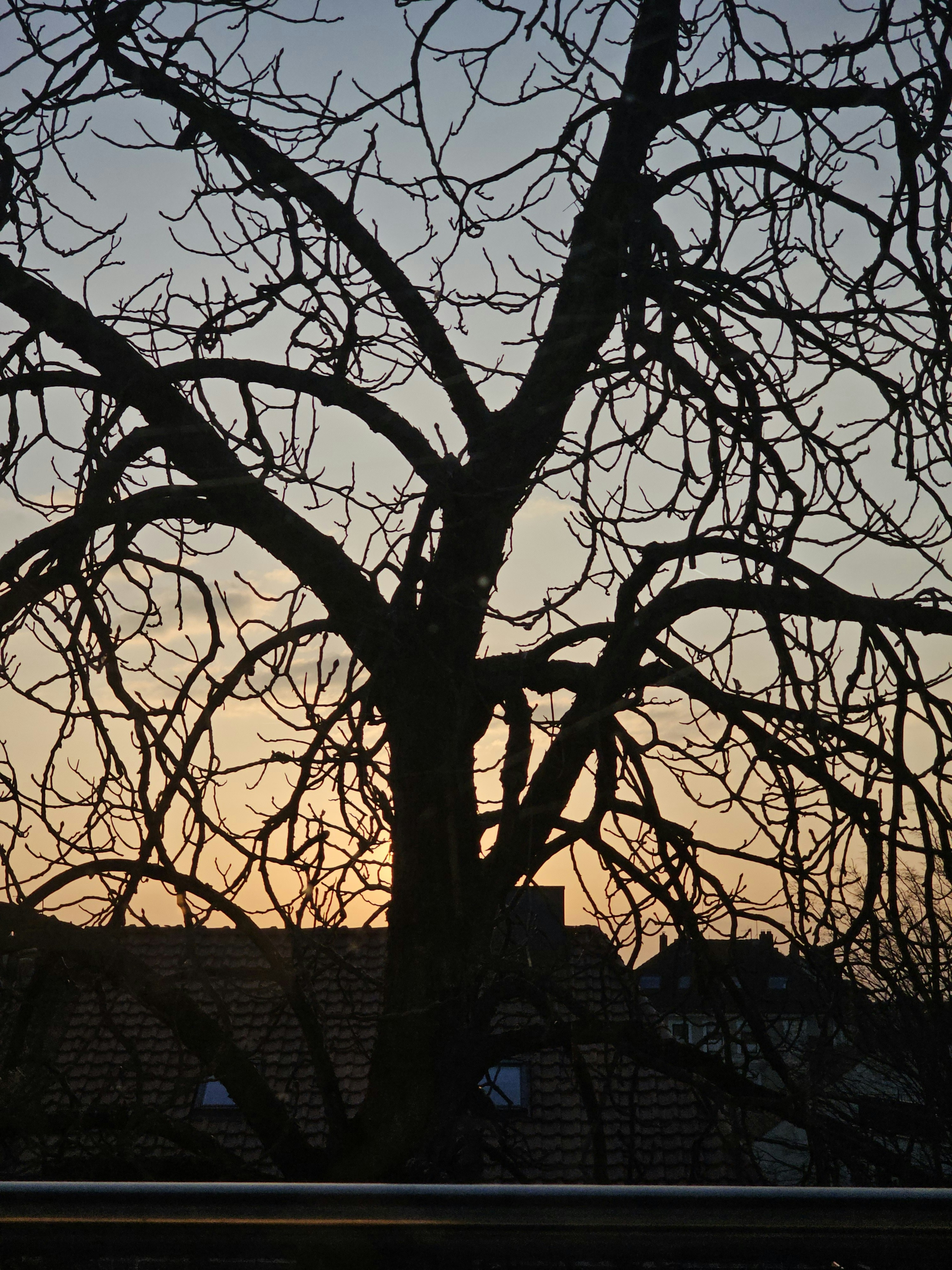 Photo by ghaji06