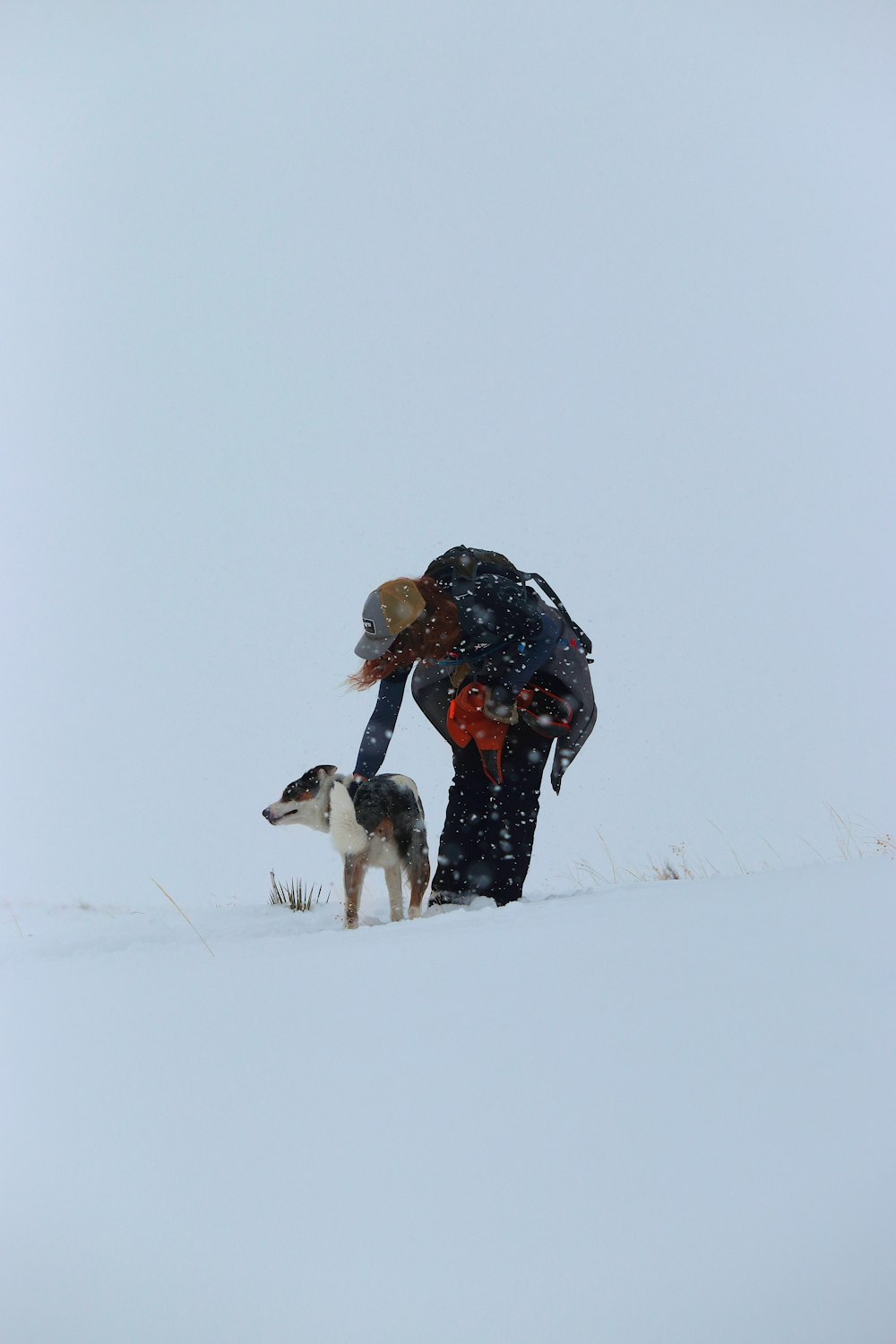 a man kneeling down next to a dog in the snow